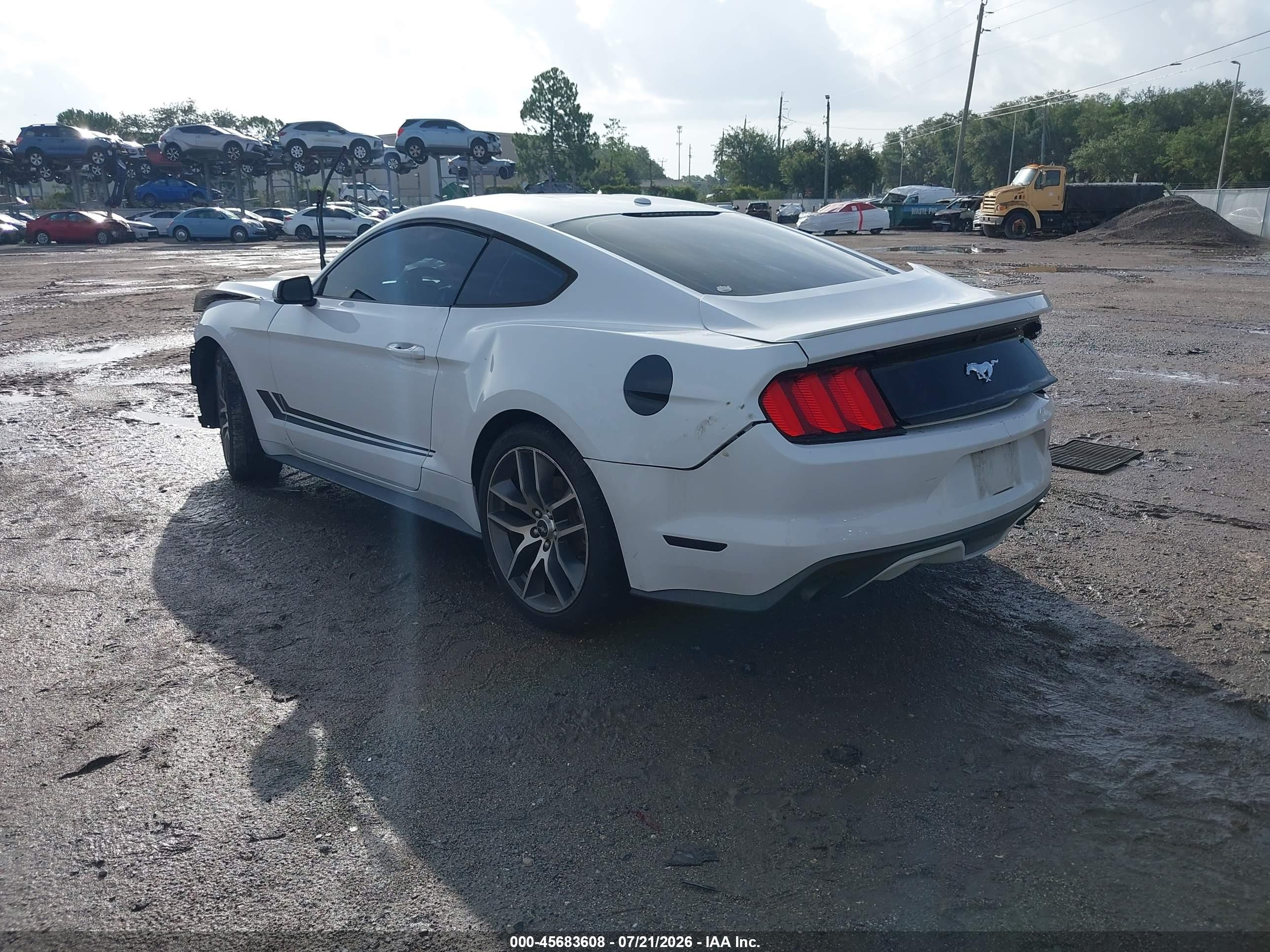 2015 Ford Mustang Ecoboost White vin: 1FA6P8TH7F5328989