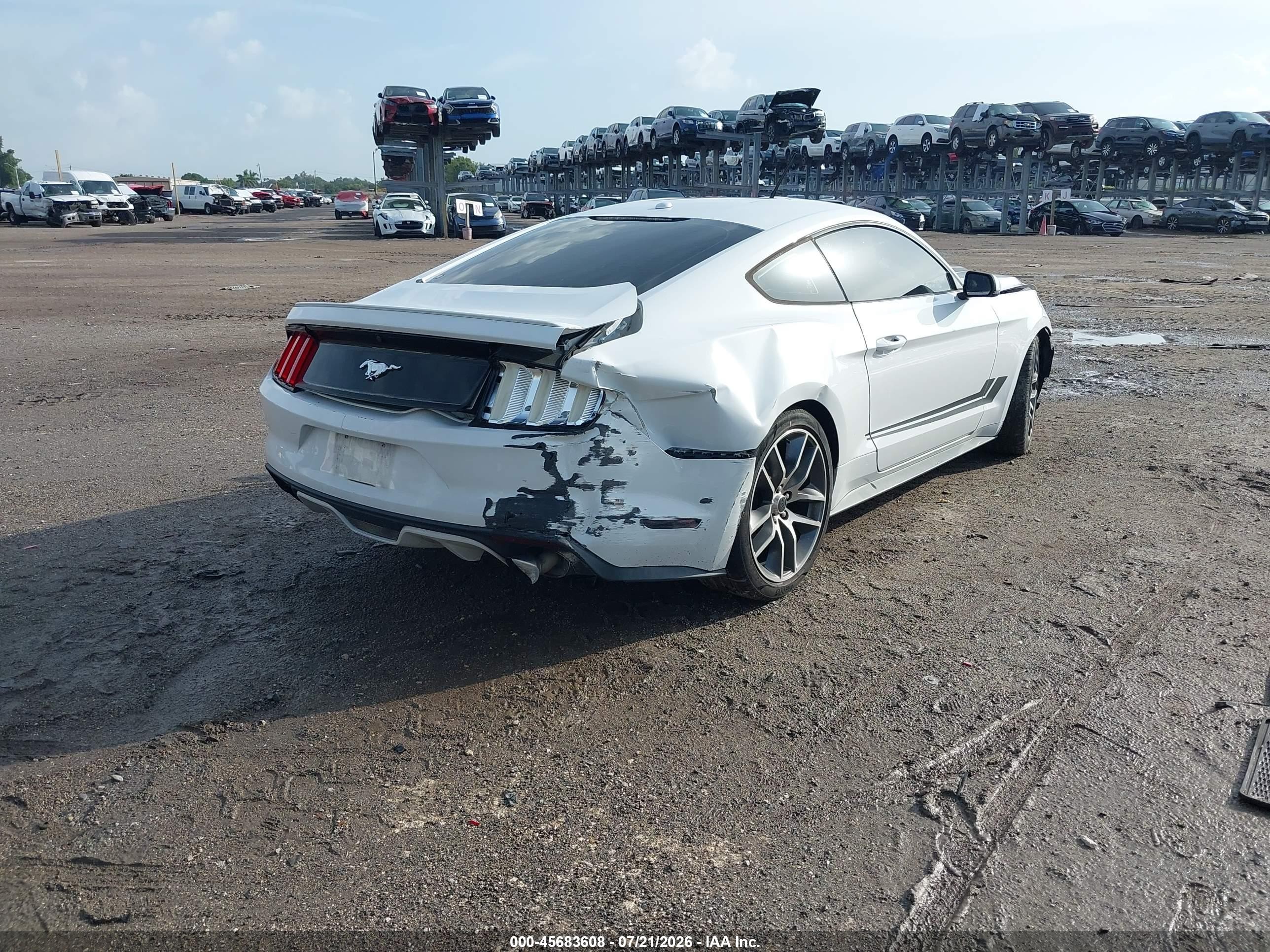 2015 Ford Mustang Ecoboost White vin: 1FA6P8TH7F5328989