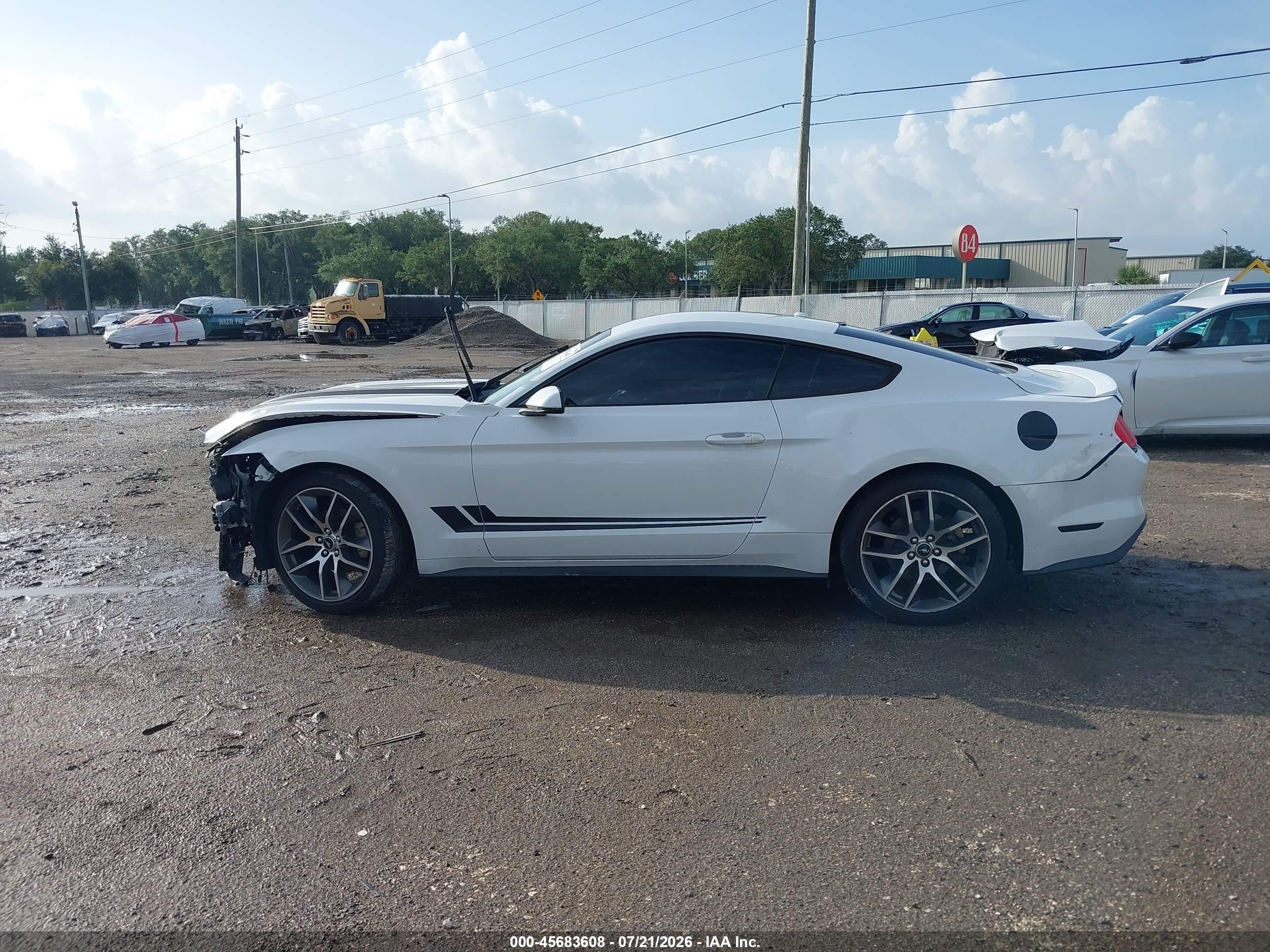 2015 Ford Mustang Ecoboost White vin: 1FA6P8TH7F5328989