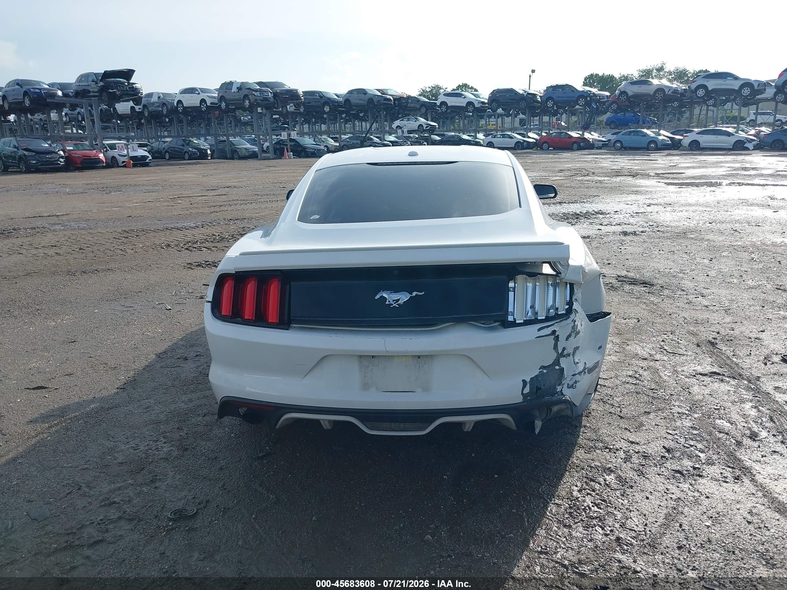 2015 Ford Mustang Ecoboost White vin: 1FA6P8TH7F5328989