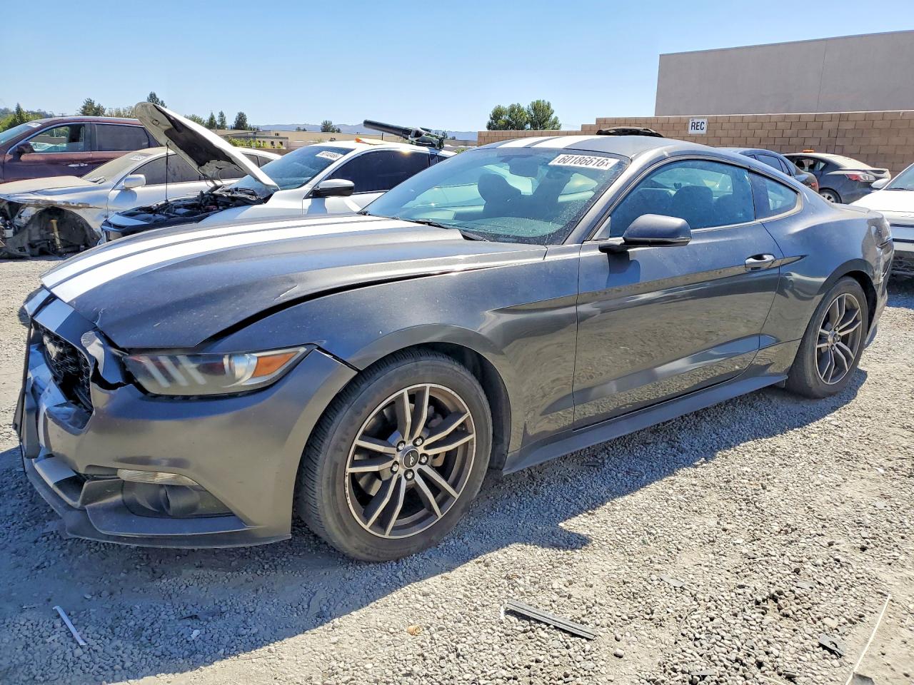2015 Ford Mustang Charcoal vin: 1FA6P8TH7F5352886