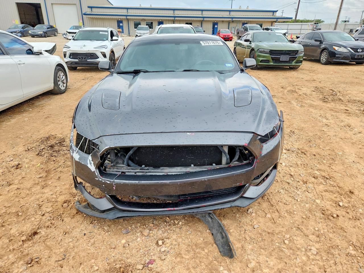 2015 Ford Mustang Gray vin: 1FA6P8TH7F5369123