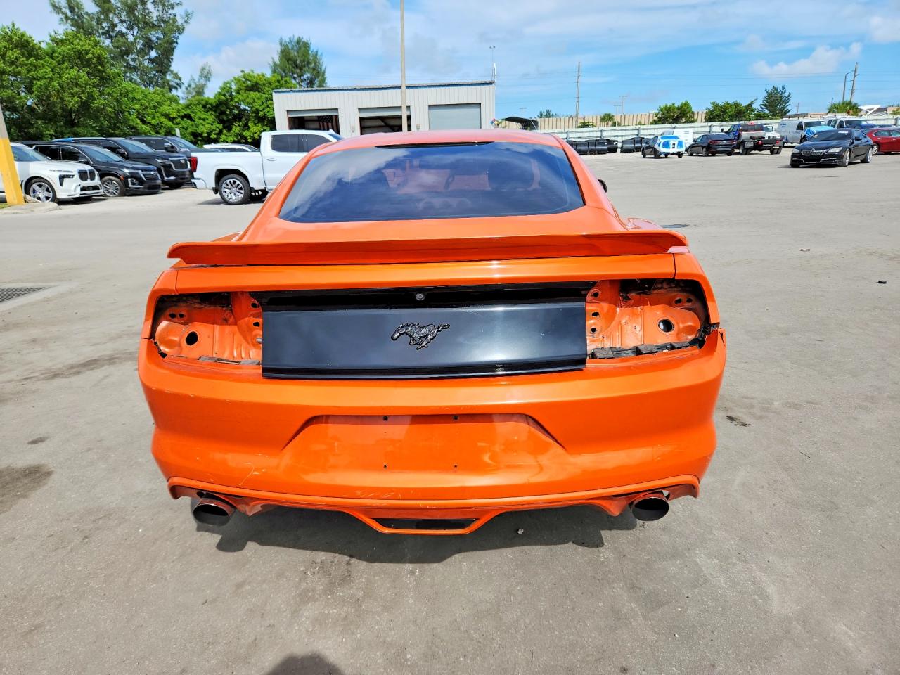 2015 Ford Mustang Orange vin: 1FA6P8TH7F5417929