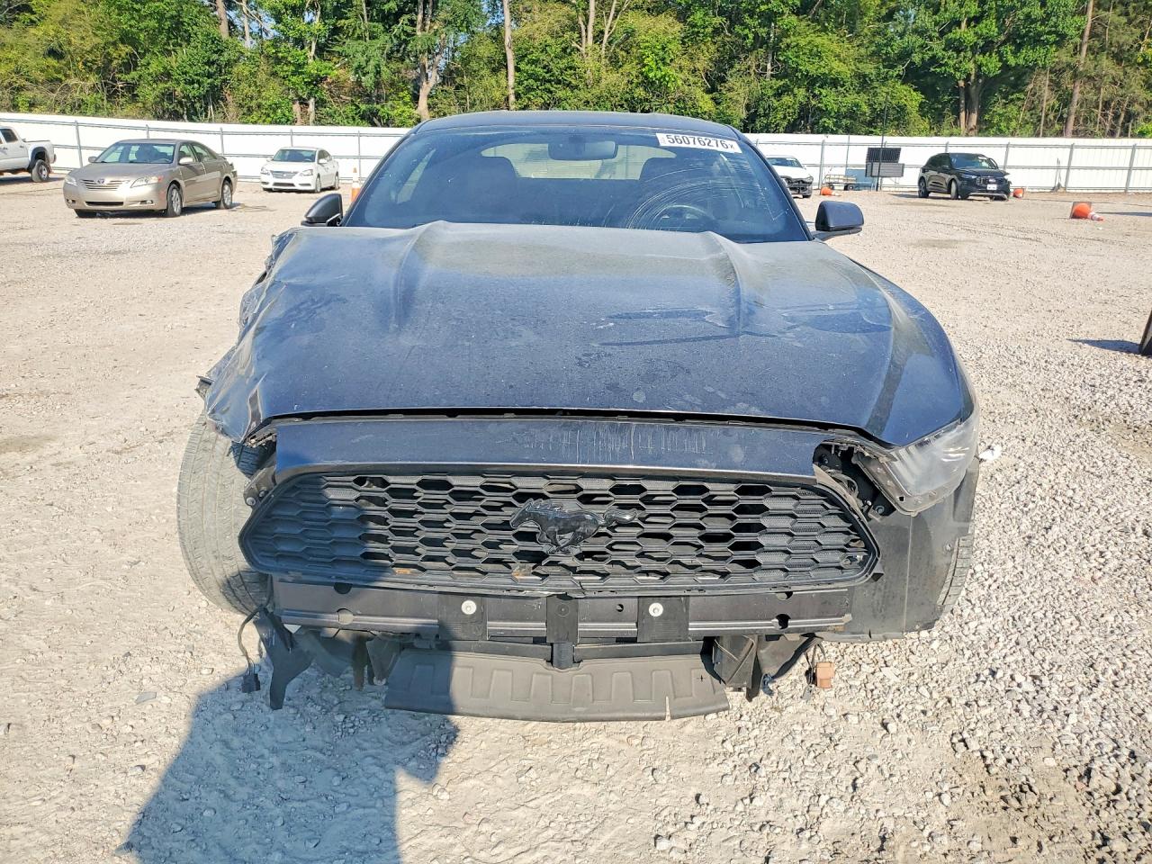 2016 Ford Mustang Gray vin: 1FA6P8TH7G5231647