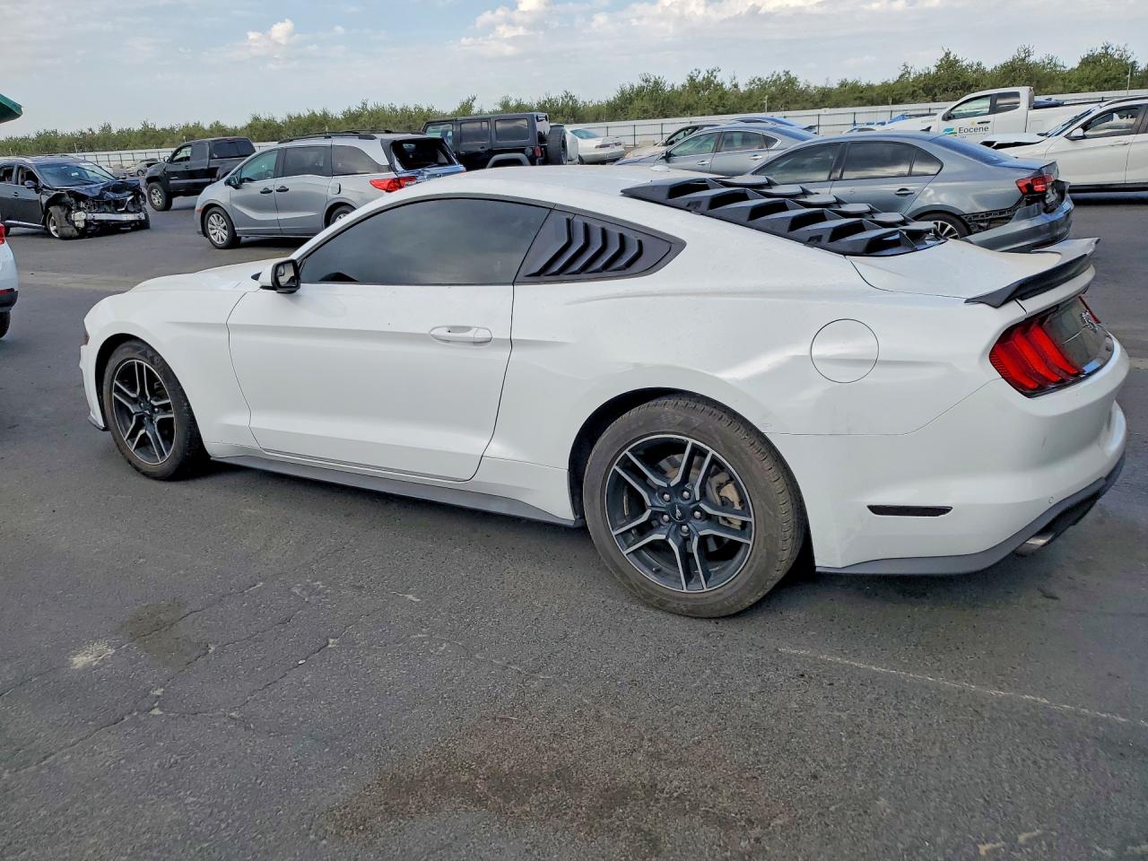 2019 Ford Mustang White vin: 1FA6P8TH7K5119147