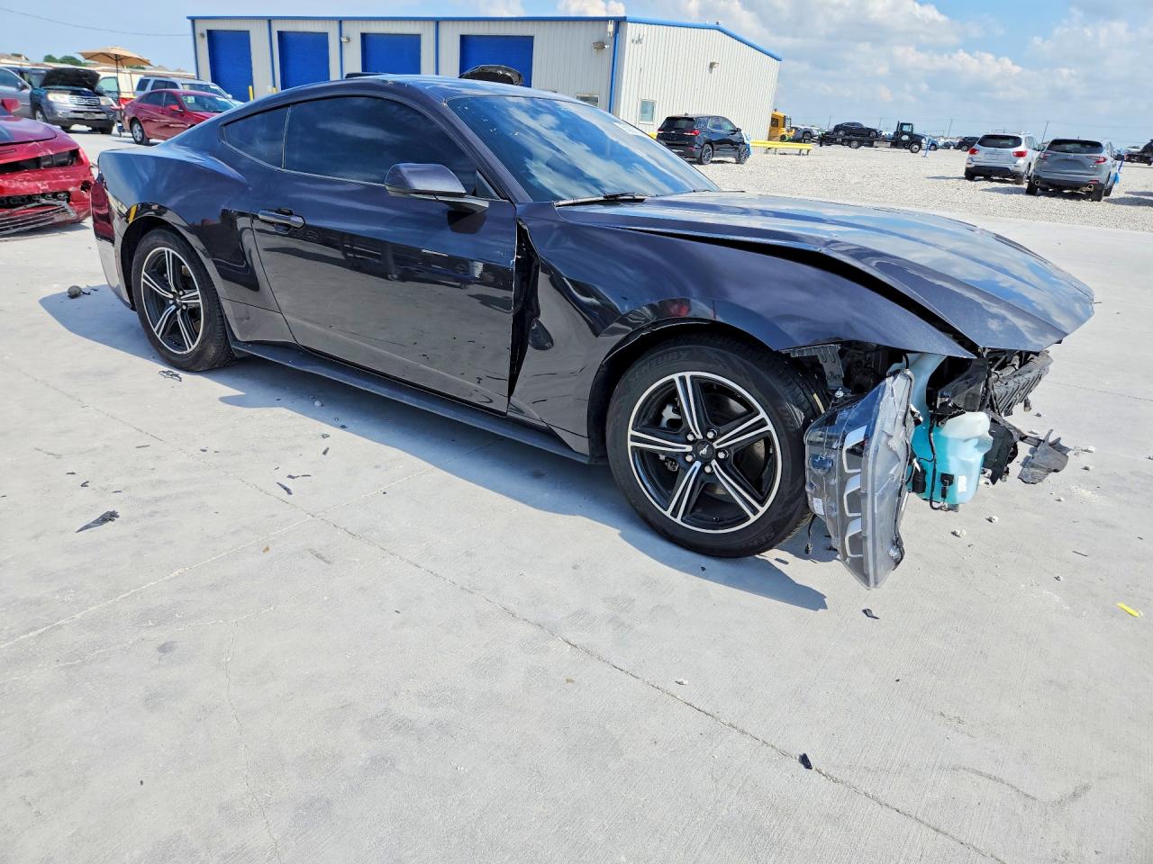 2024 Ford Mustang Black vin: 1FA6P8TH7R5107042