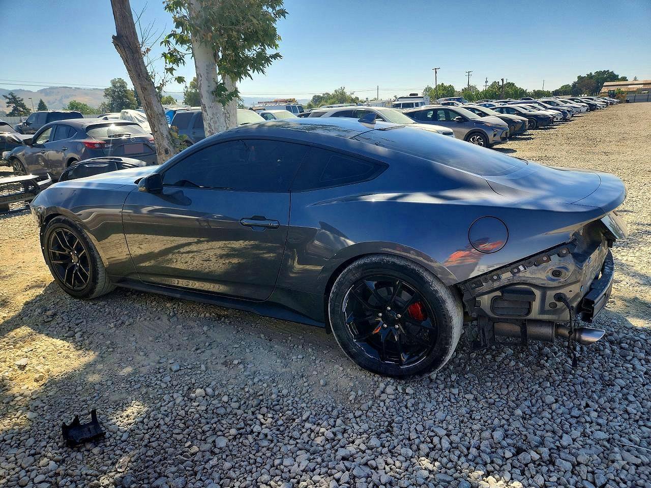 2024 Ford Mustang Gray vin: 1FA6P8TH7R5129106
