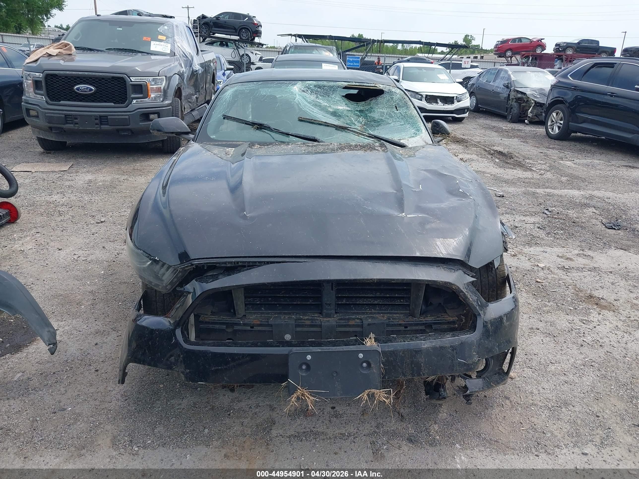 2015 Ford Mustang Ecoboost Black vin: 1FA6P8TH8F5417289