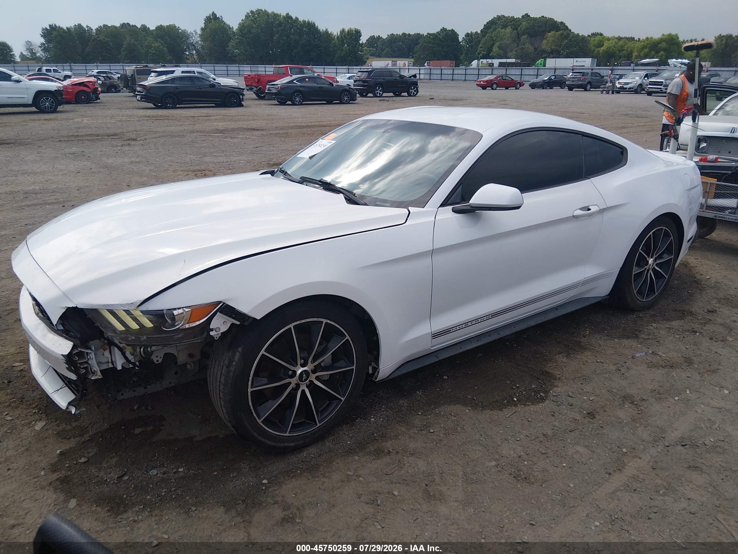 2015 Ford Mustang Ecoboost White vin: 1FA6P8TH8F5431158