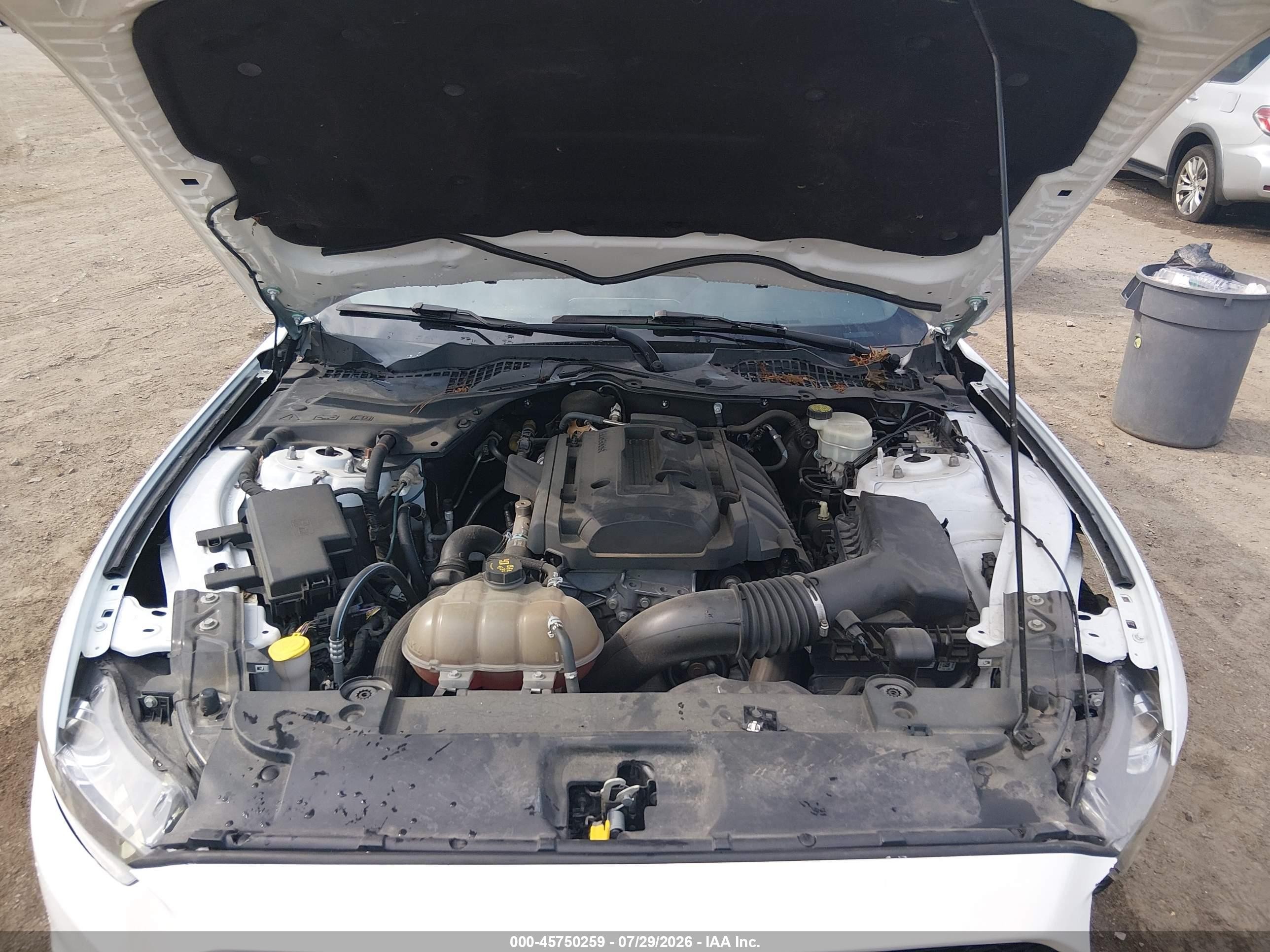 2015 Ford Mustang Ecoboost White vin: 1FA6P8TH8F5431158