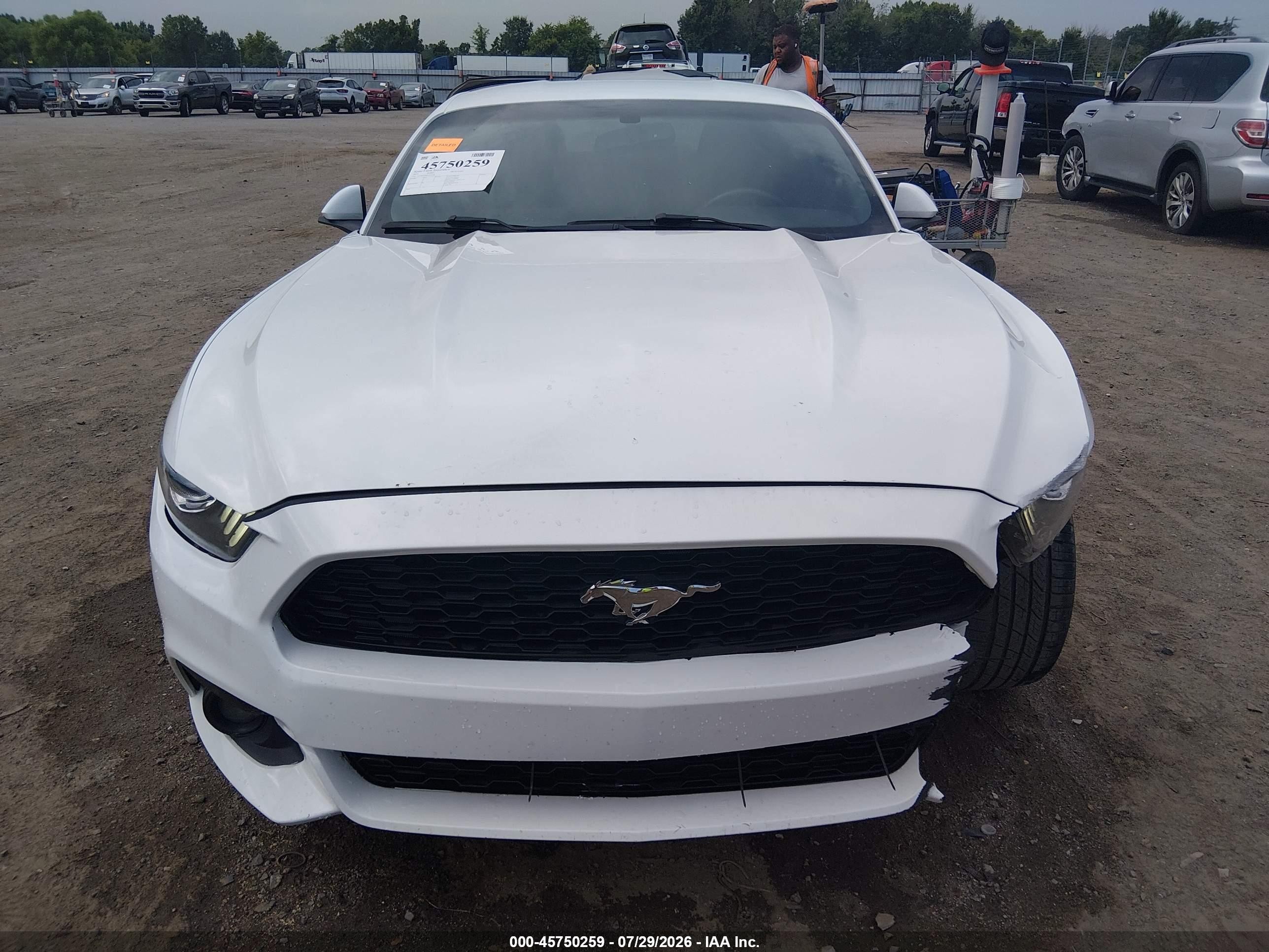 2015 Ford Mustang Ecoboost White vin: 1FA6P8TH8F5431158