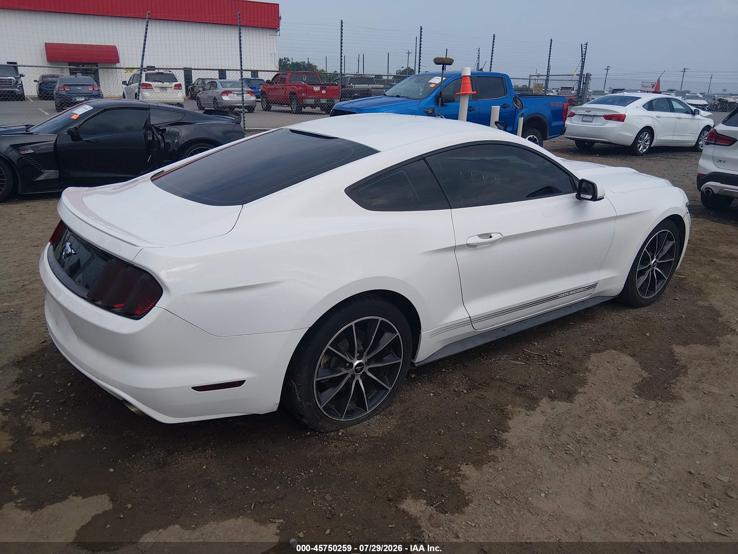 2015 Ford Mustang Ecoboost White vin: 1FA6P8TH8F5431158