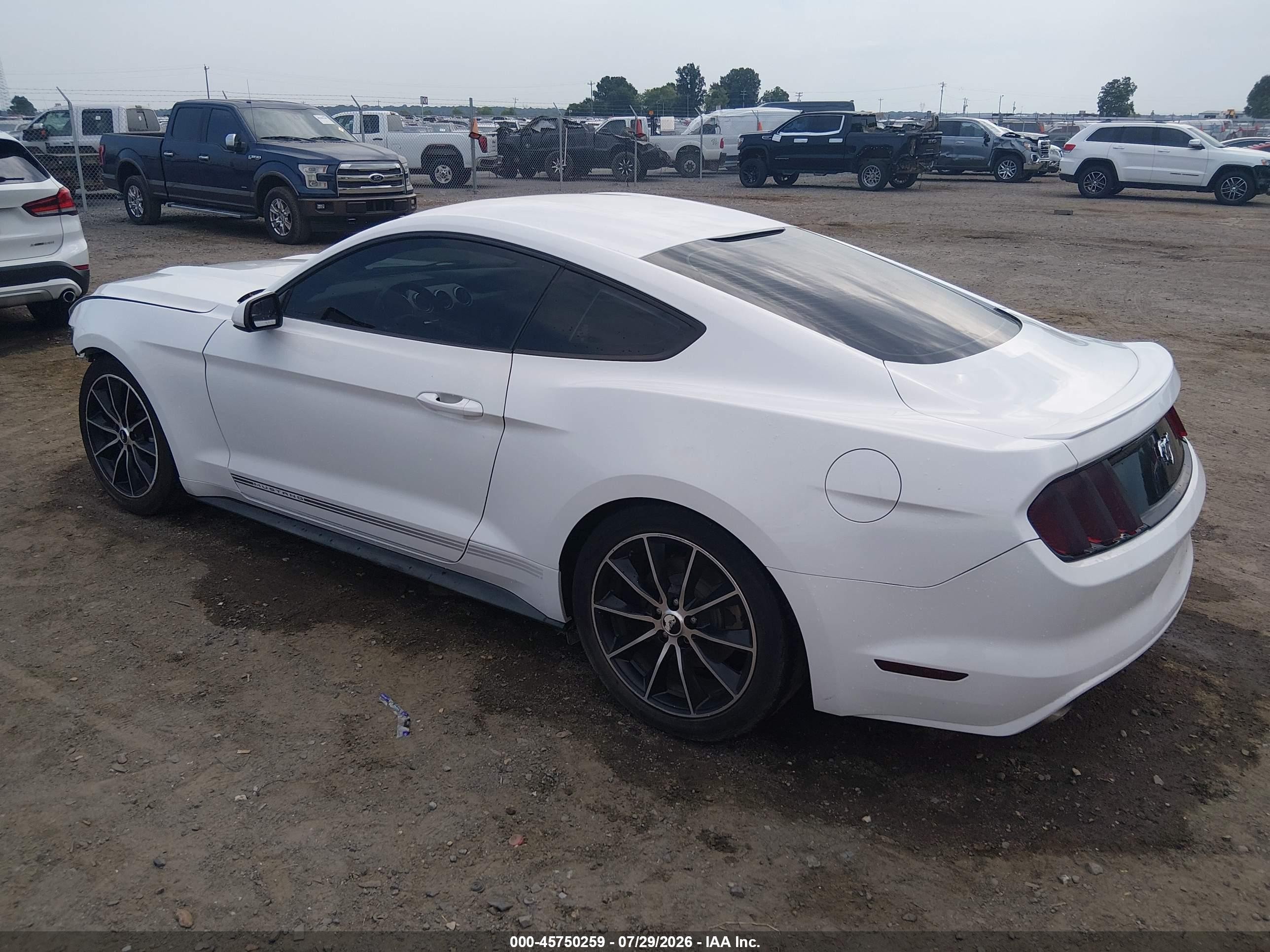 2015 Ford Mustang Ecoboost White vin: 1FA6P8TH8F5431158