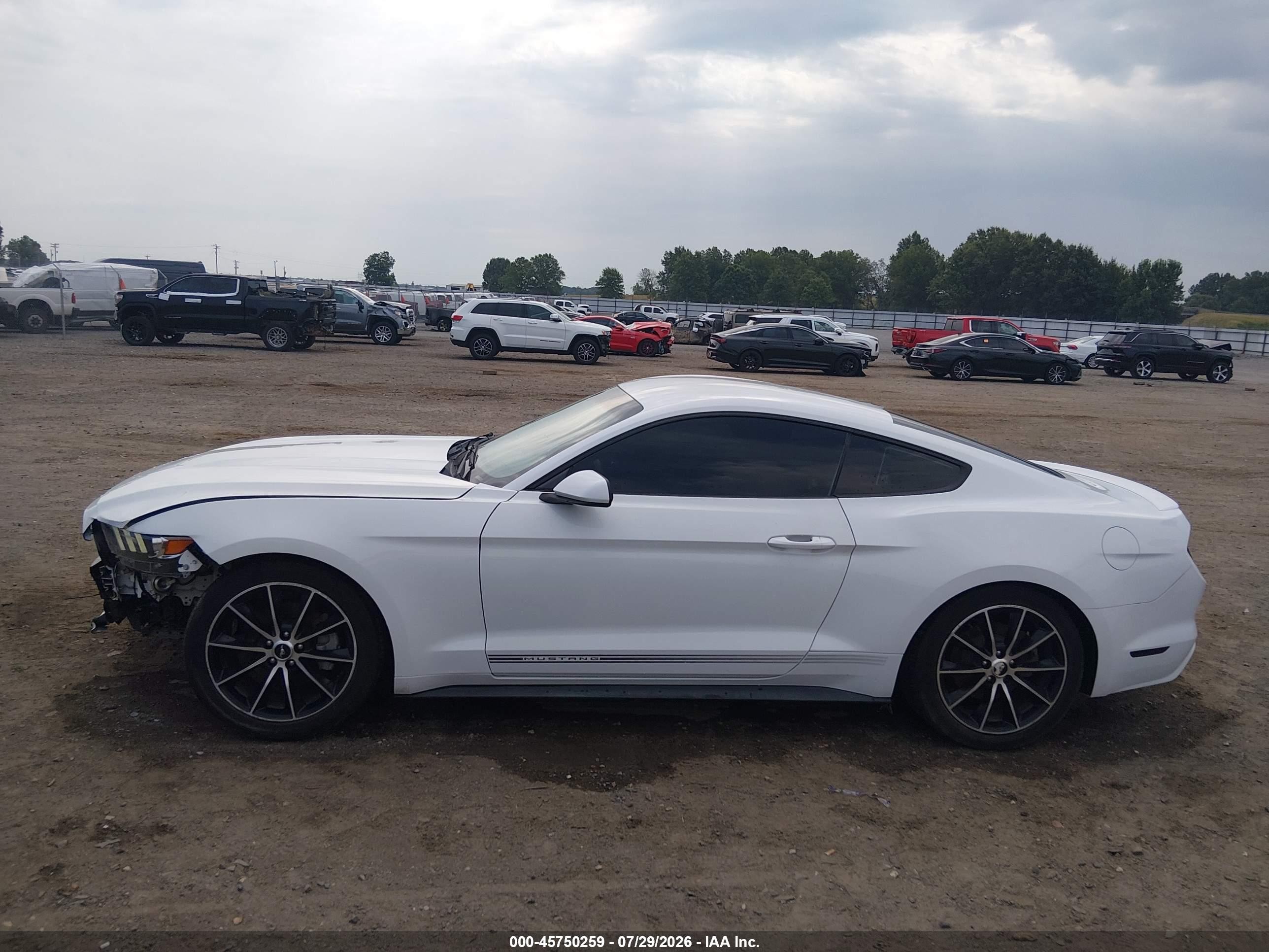 2015 Ford Mustang Ecoboost White vin: 1FA6P8TH8F5431158