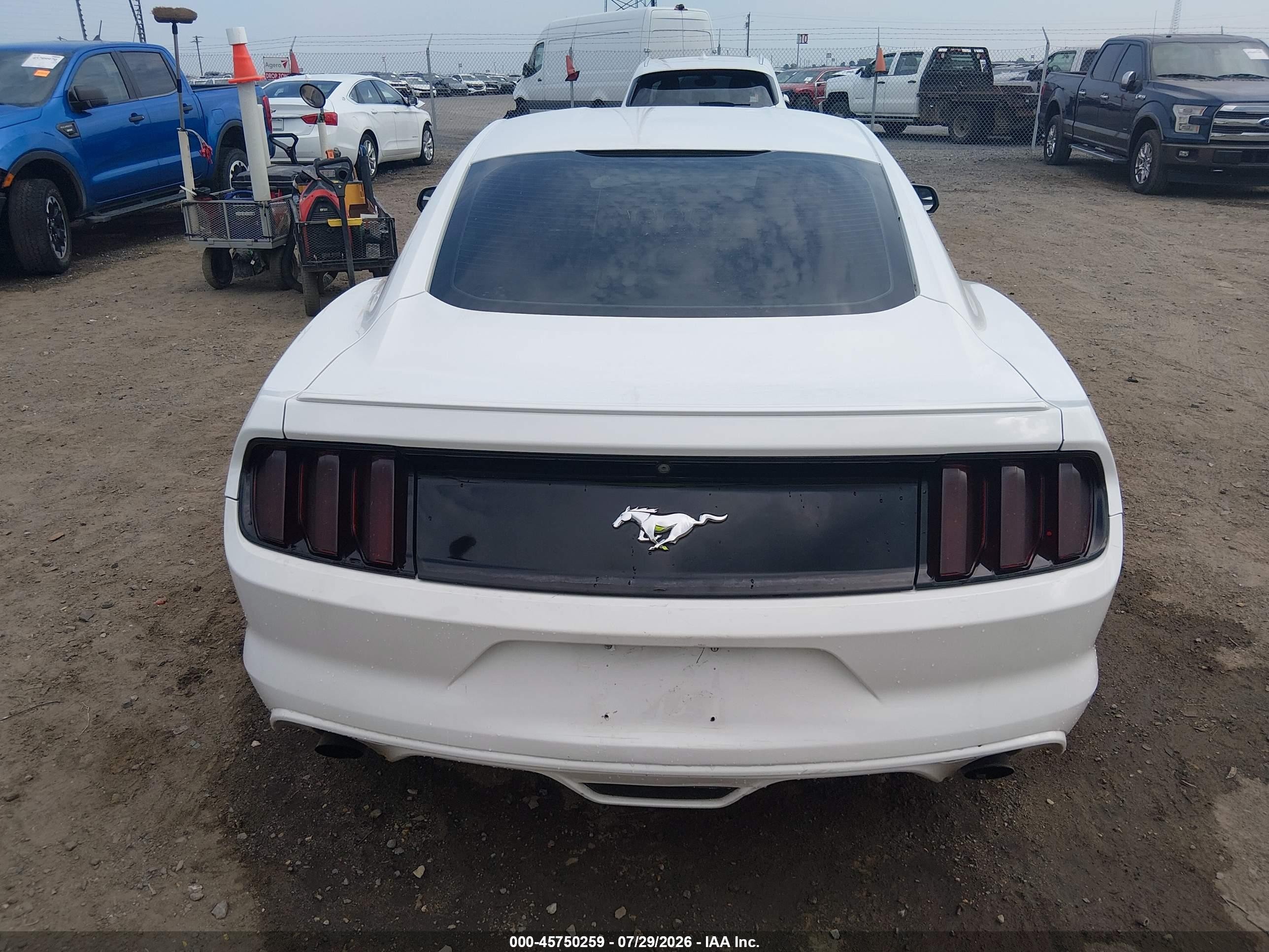 2015 Ford Mustang Ecoboost White vin: 1FA6P8TH8F5431158
