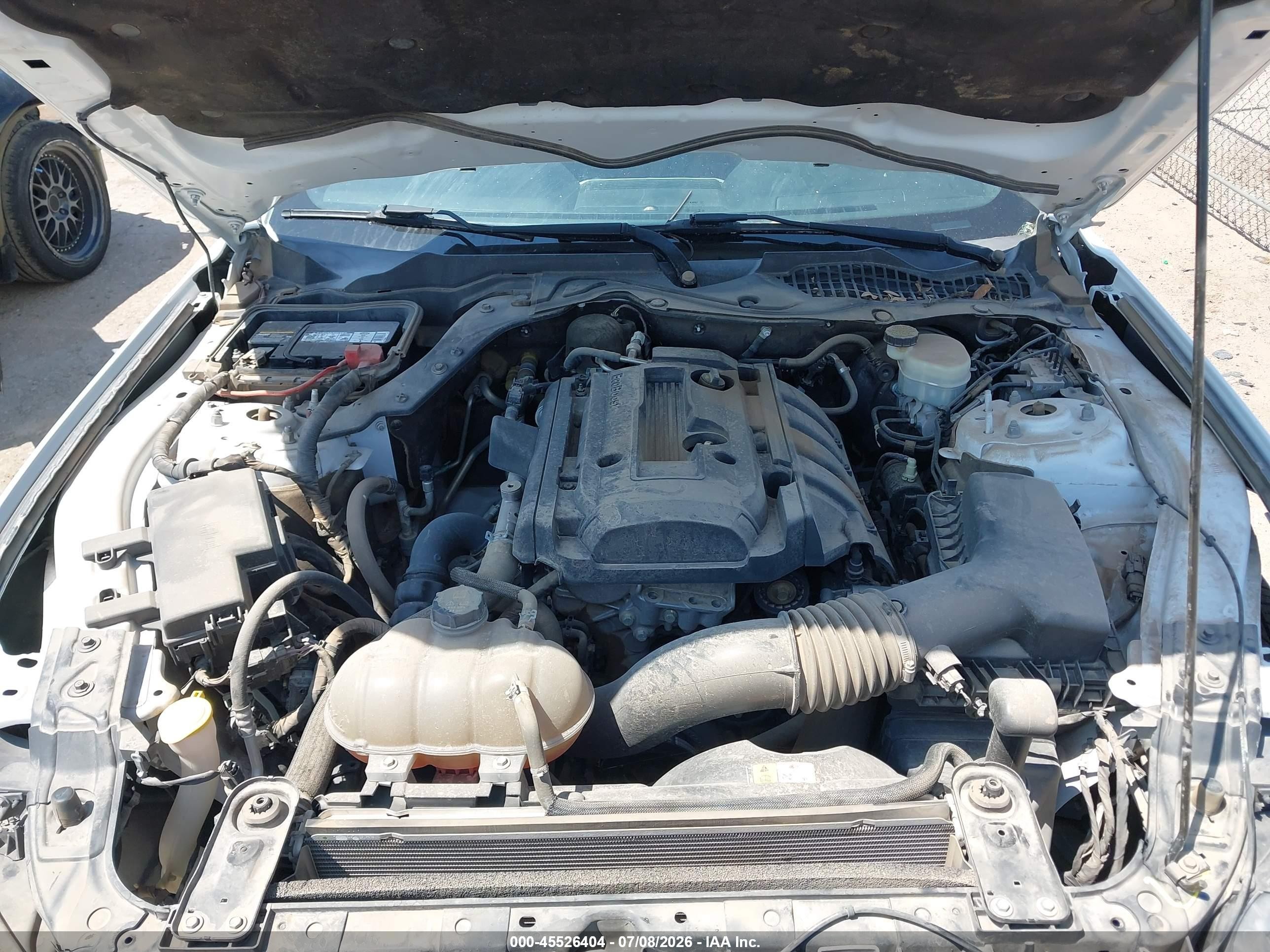 2015 Ford Mustang Ecoboost White vin: 1FA6P8TH8F5434237