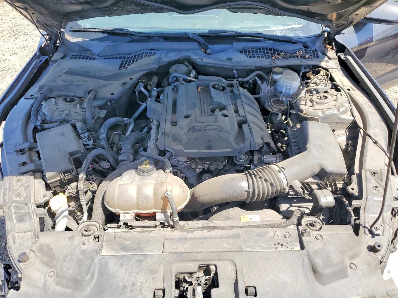 2018 Ford Mustang Gray vin: 1FA6P8TH8J5123139