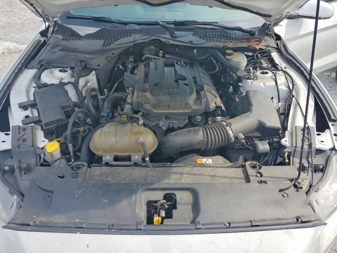 2015 Ford Mustang White vin: 1FA6P8TH9F5341646