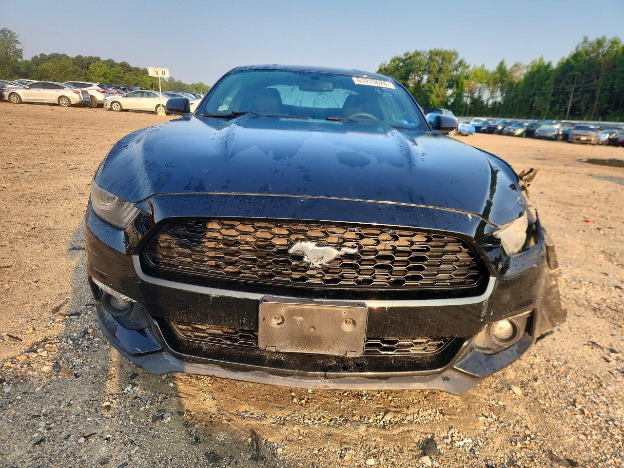 2015 Ford Mustang Black vin: 1FA6P8TH9F5385419