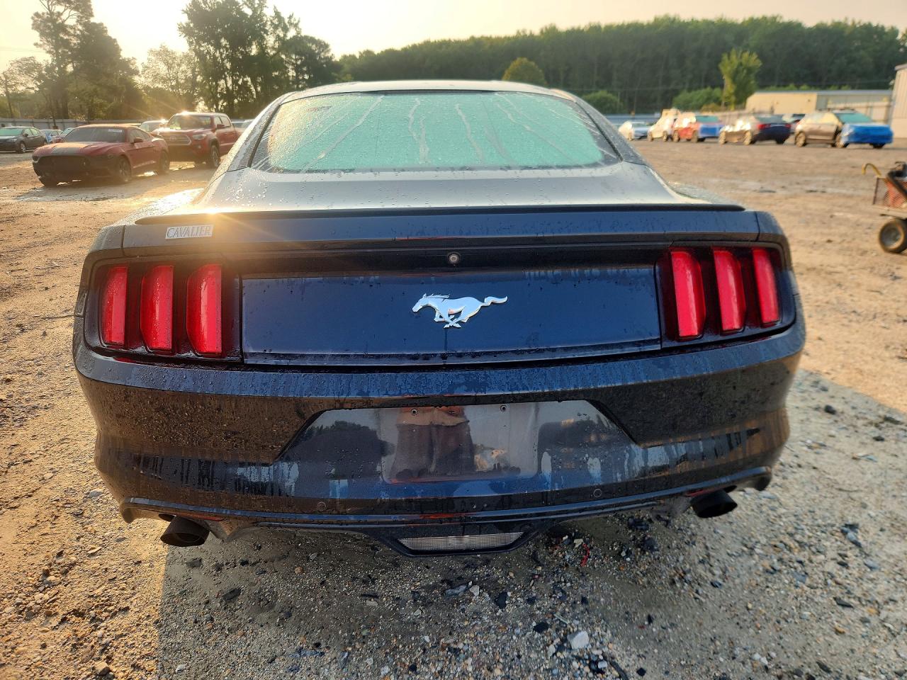 2015 Ford Mustang Black vin: 1FA6P8TH9F5385419