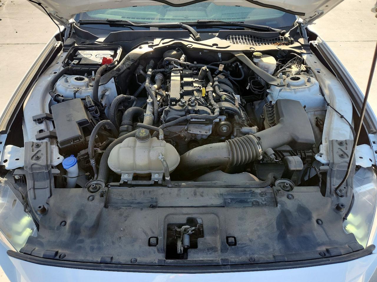 2022 Ford Mustang White vin: 1FA6P8TH9N5130607