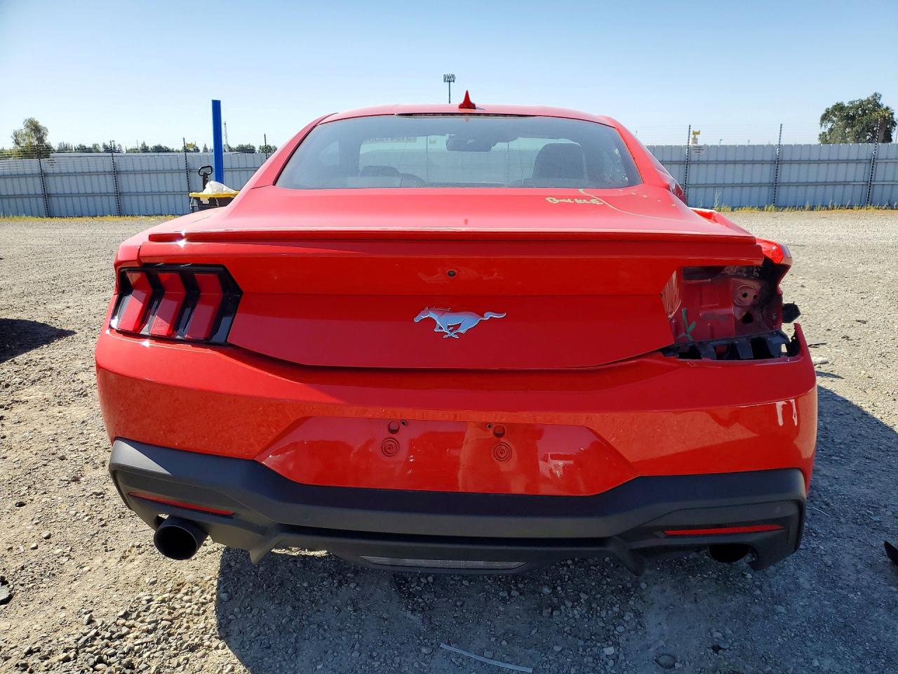 2024 Ford Mustang Красный vin: 1FA6P8TH9R5141807