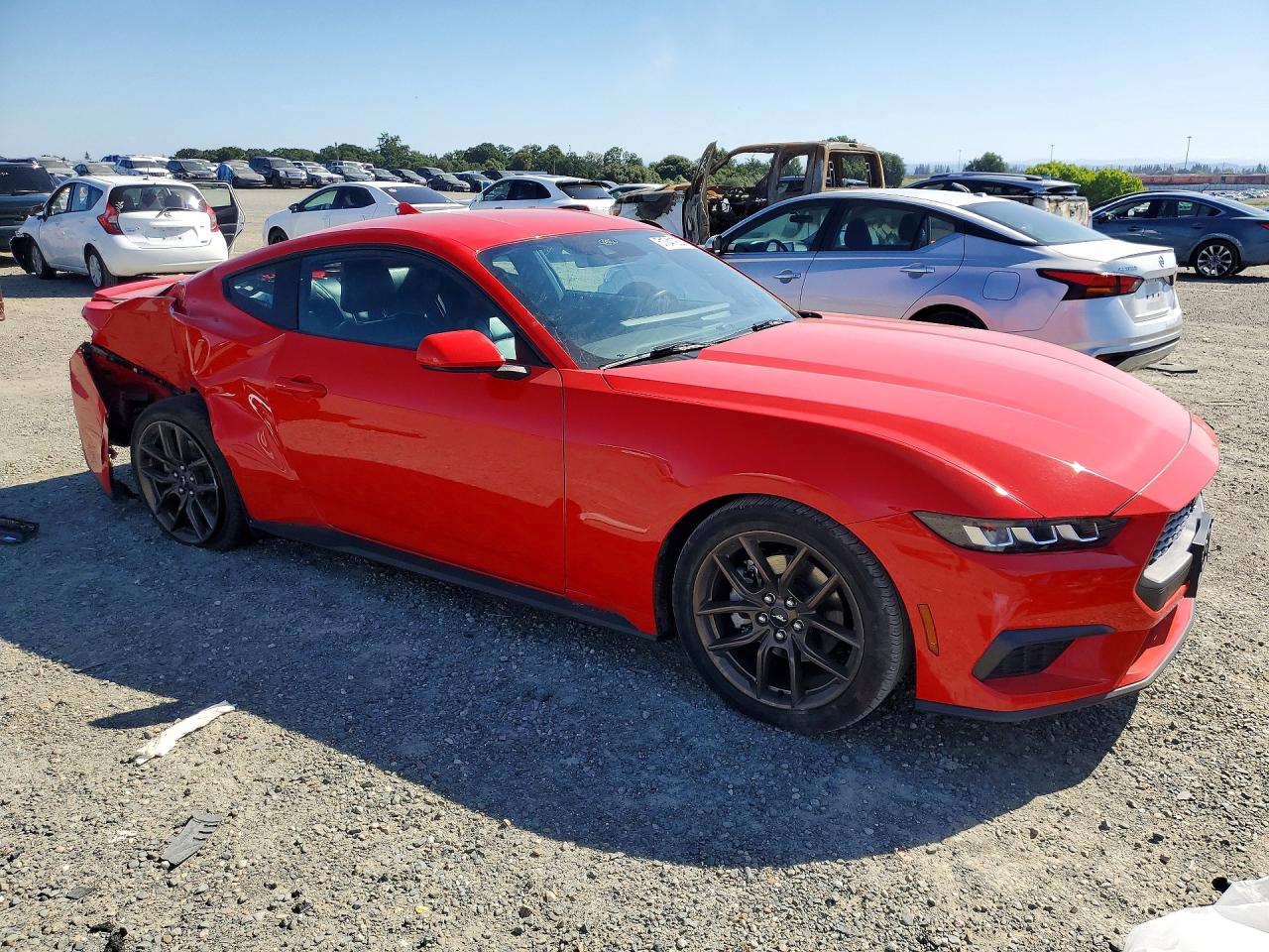 2024 Ford Mustang Красный vin: 1FA6P8TH9R5141807