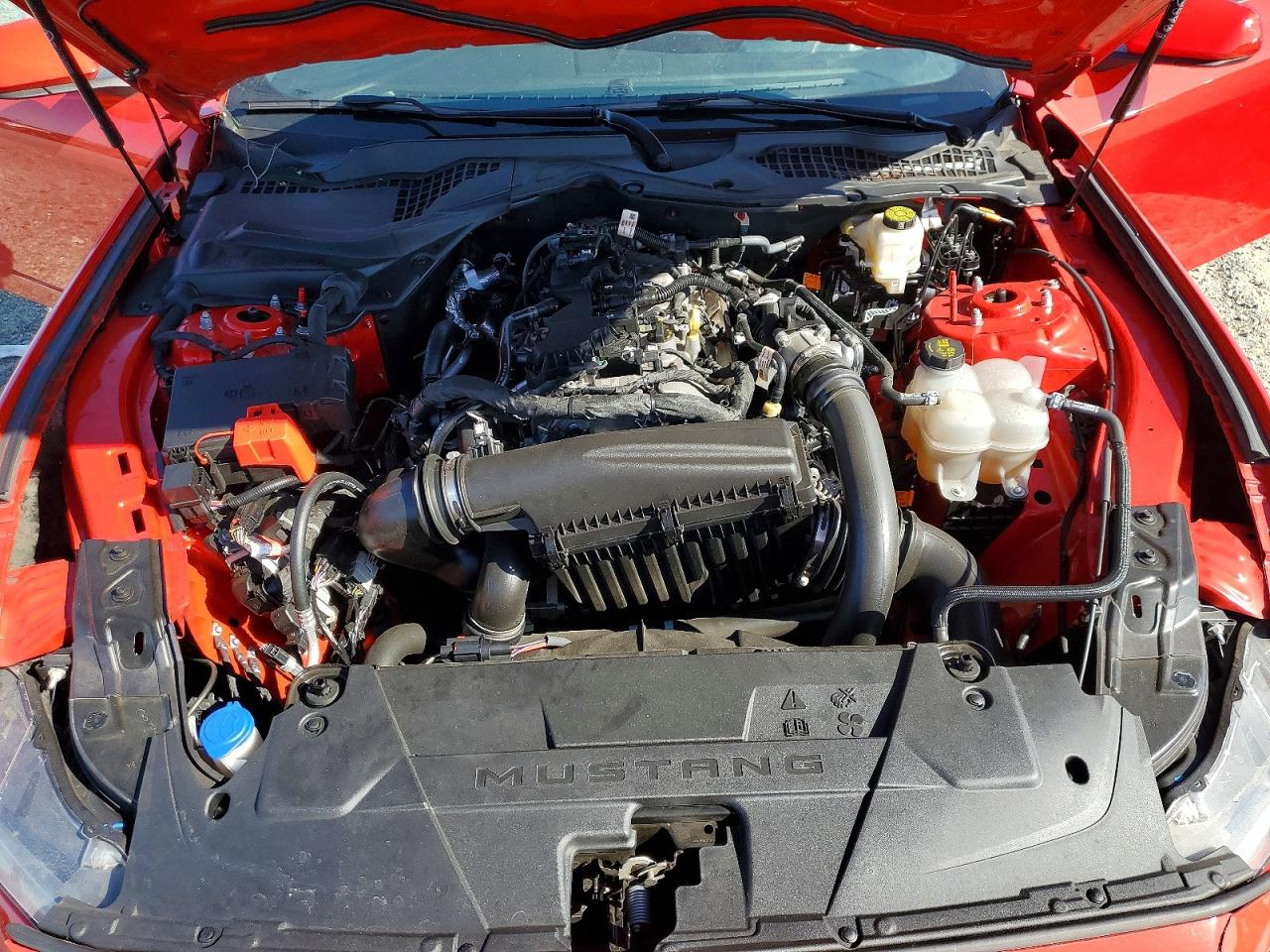 2024 Ford Mustang Красный vin: 1FA6P8TH9R5141807