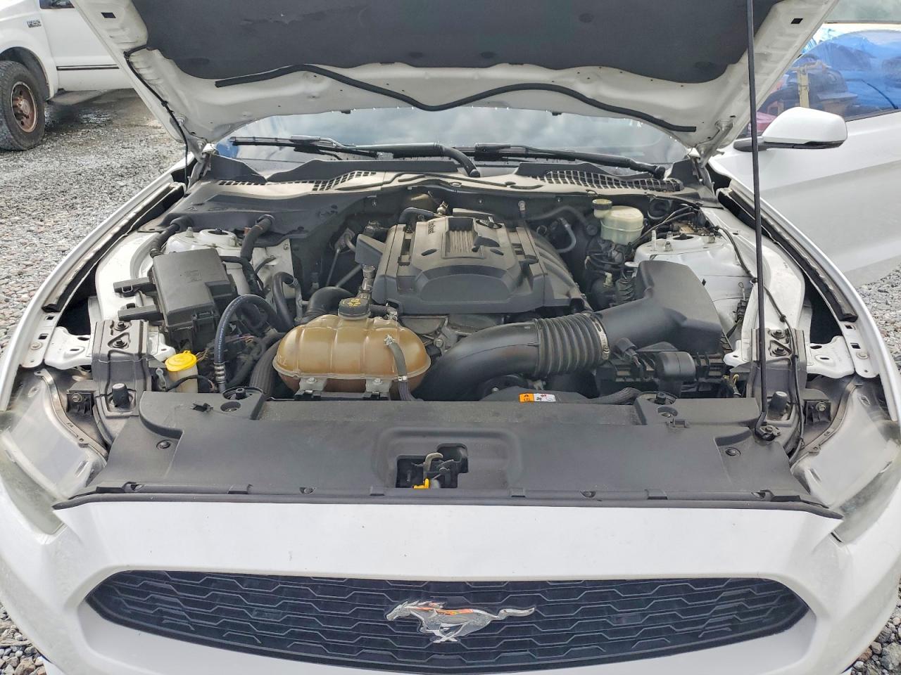 2015 Ford Mustang White vin: 1FA6P8THXF5321485