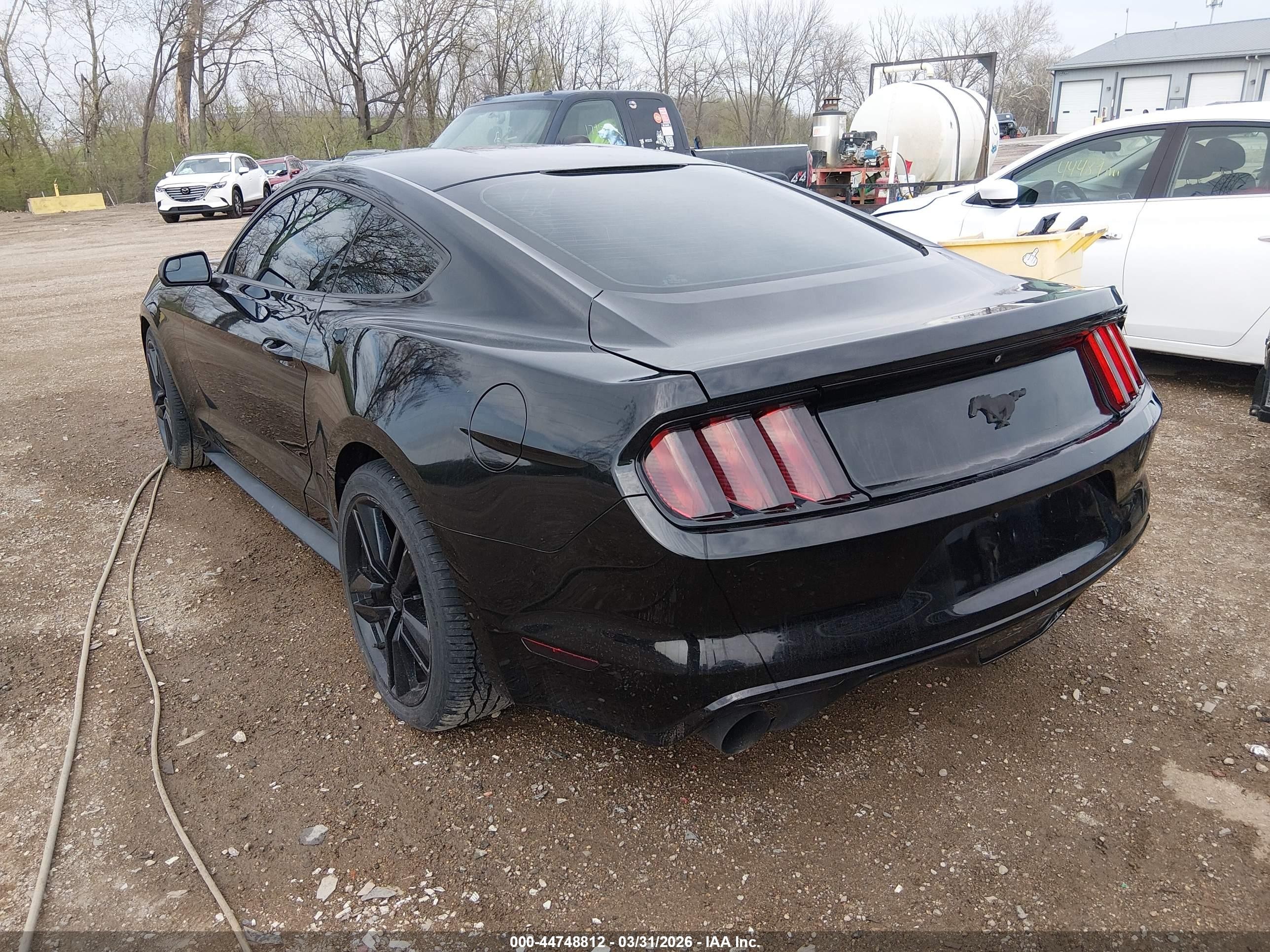 2015 Ford Mustang Ecoboost Black vin: 1FA6P8THXF5353613