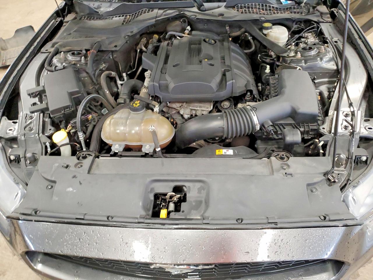 2015 Ford Mustang Gray vin: 1FA6P8THXF5367513