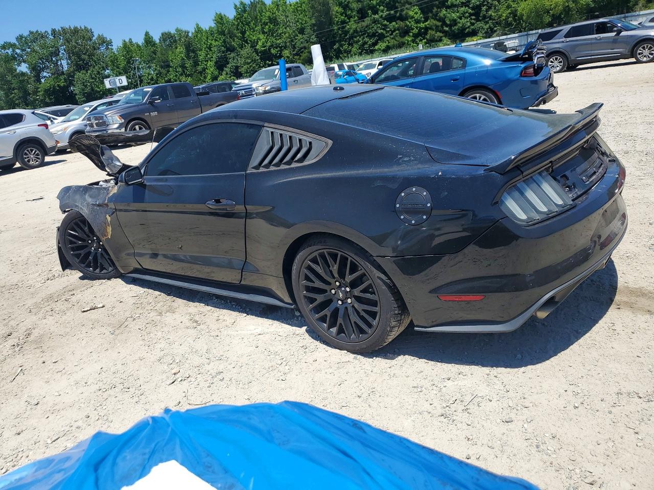 2015 Ford Mustang Black vin: 1FA6P8THXF5390841