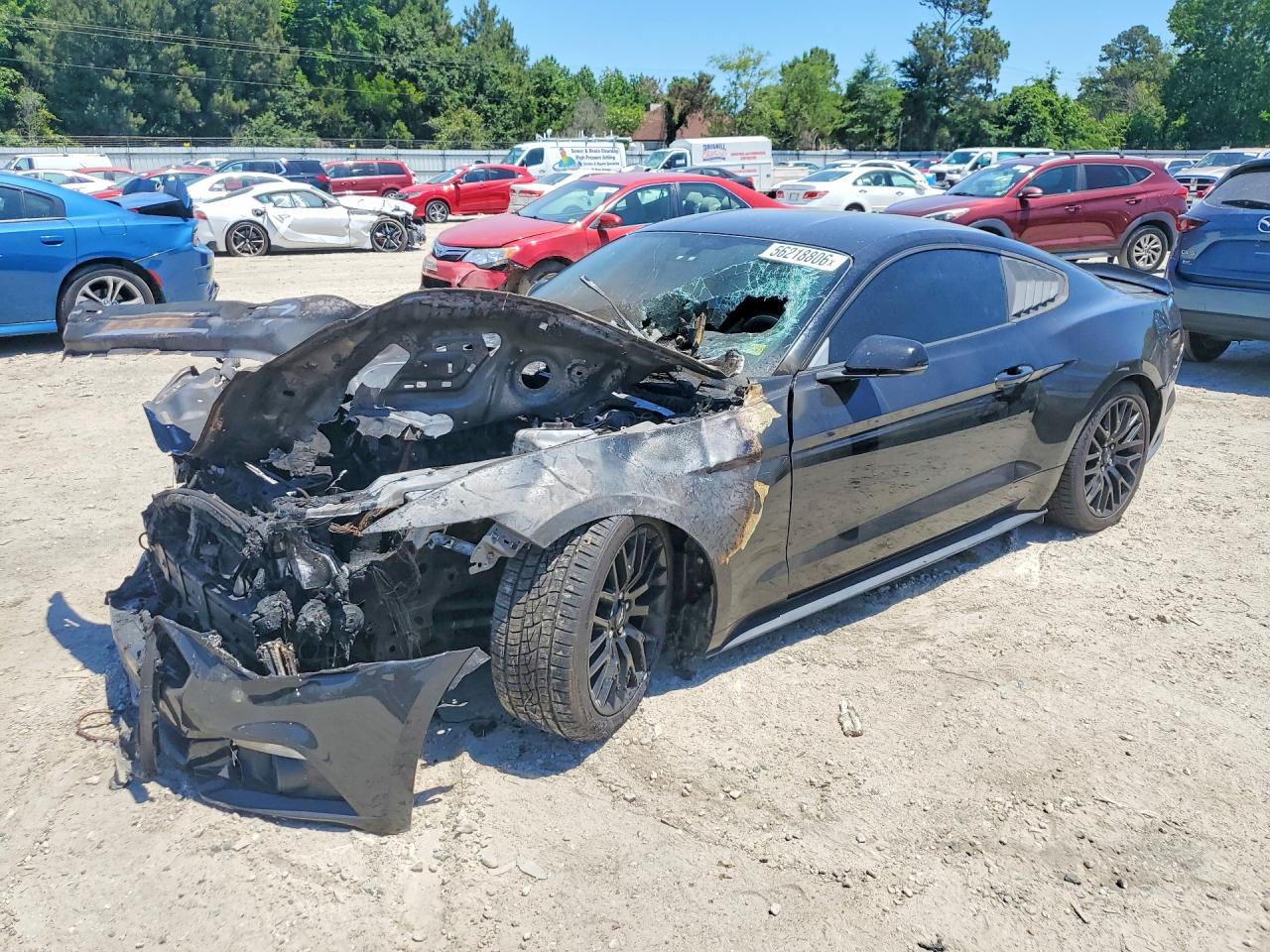 2015 Ford Mustang Black vin: 1FA6P8THXF5390841