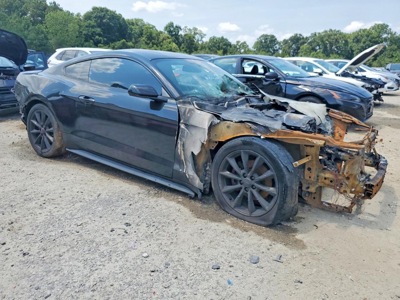 2015 Ford Mustang Burn vin: 1FA6P8THXF5430481