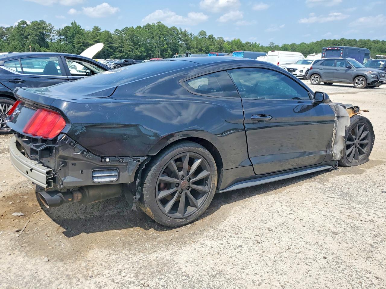 2015 Ford Mustang Burn vin: 1FA6P8THXF5430481