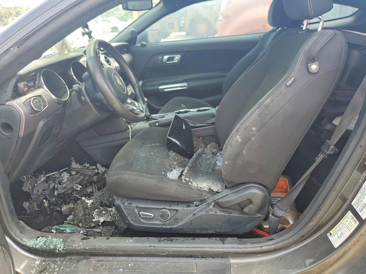2015 Ford Mustang Burn vin: 1FA6P8THXF5430481