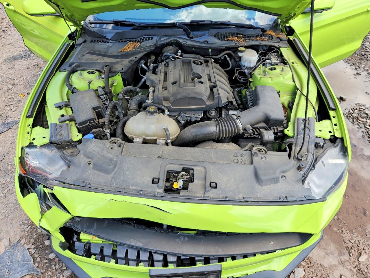 2020 Ford Mustang Green vin: 1FA6P8THXL5159255
