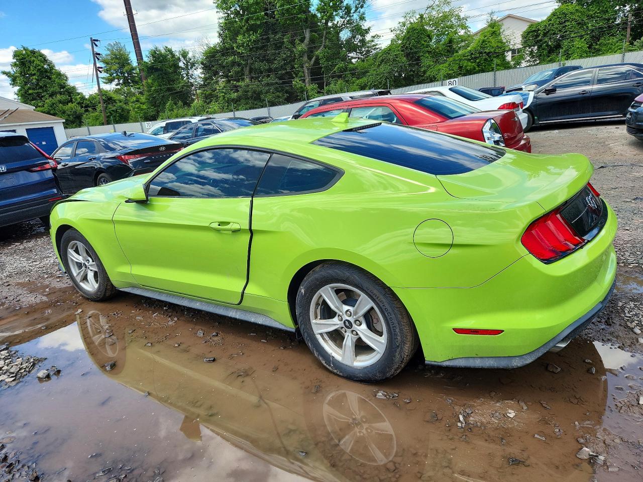 2020 Ford Mustang Green vin: 1FA6P8THXL5159255