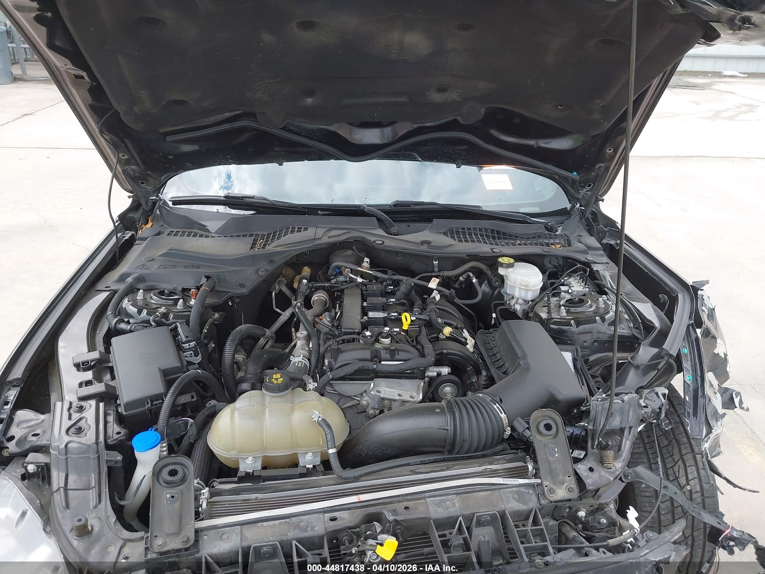 2021 Ford Mustang Ecoboost Fastback Black vin: 1FA6P8THXM5104340