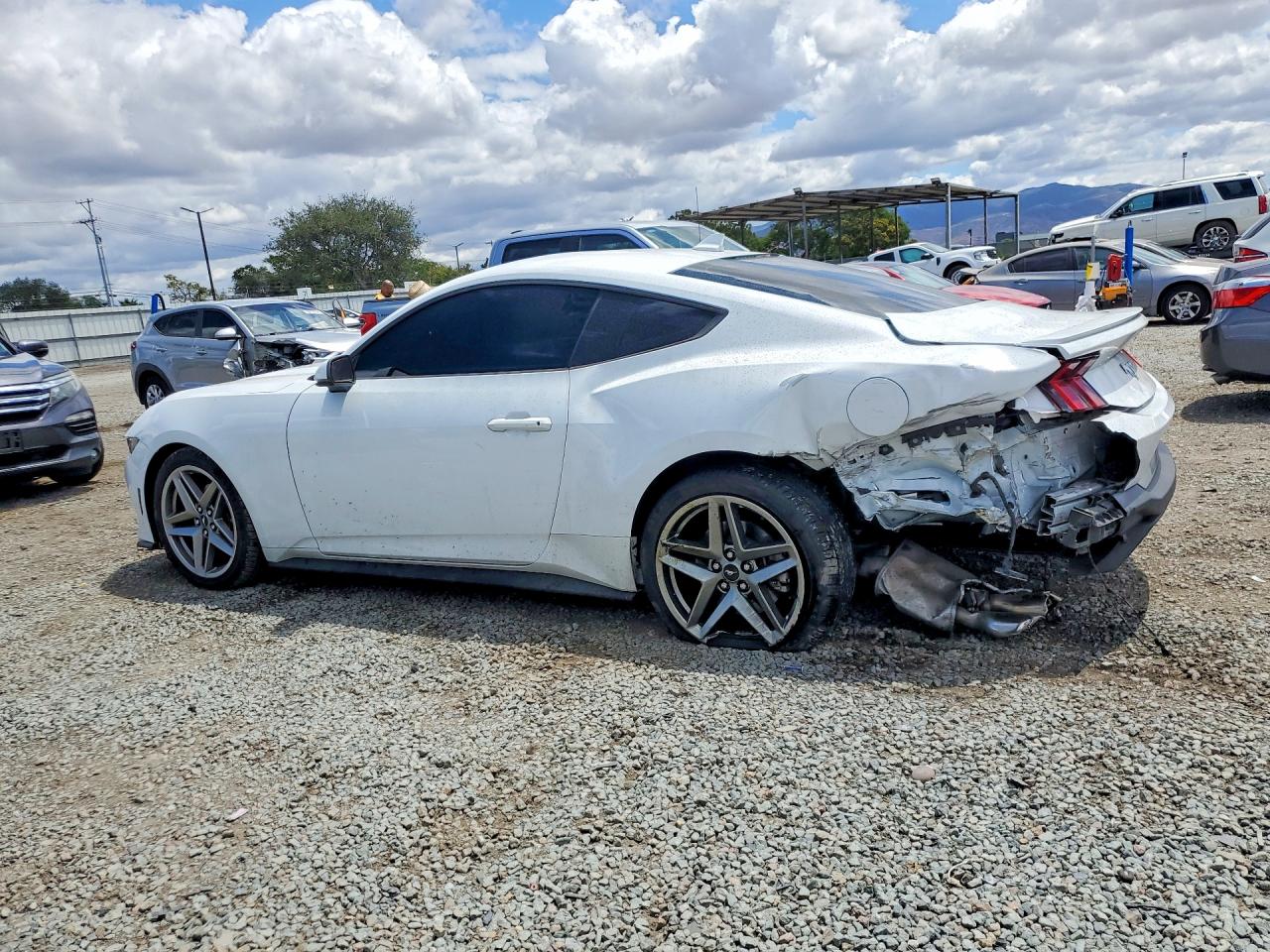 2024 Ford Mustang White vin: 1FA6P8THXR5121856