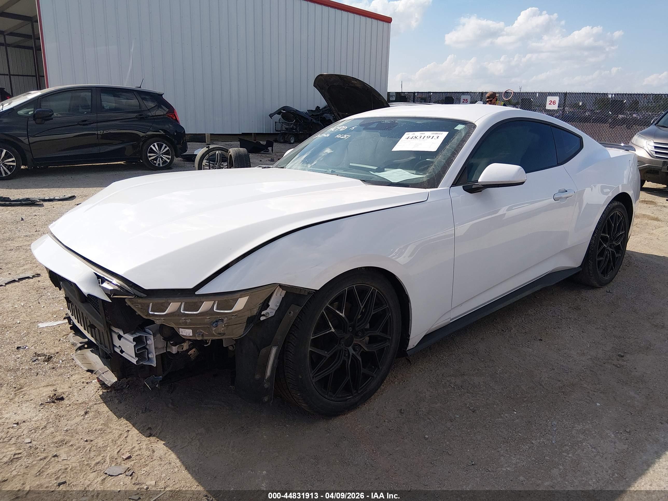 2024 Ford Mustang Ecoboost Fastback White vin: 1FA6P8THXR5127432