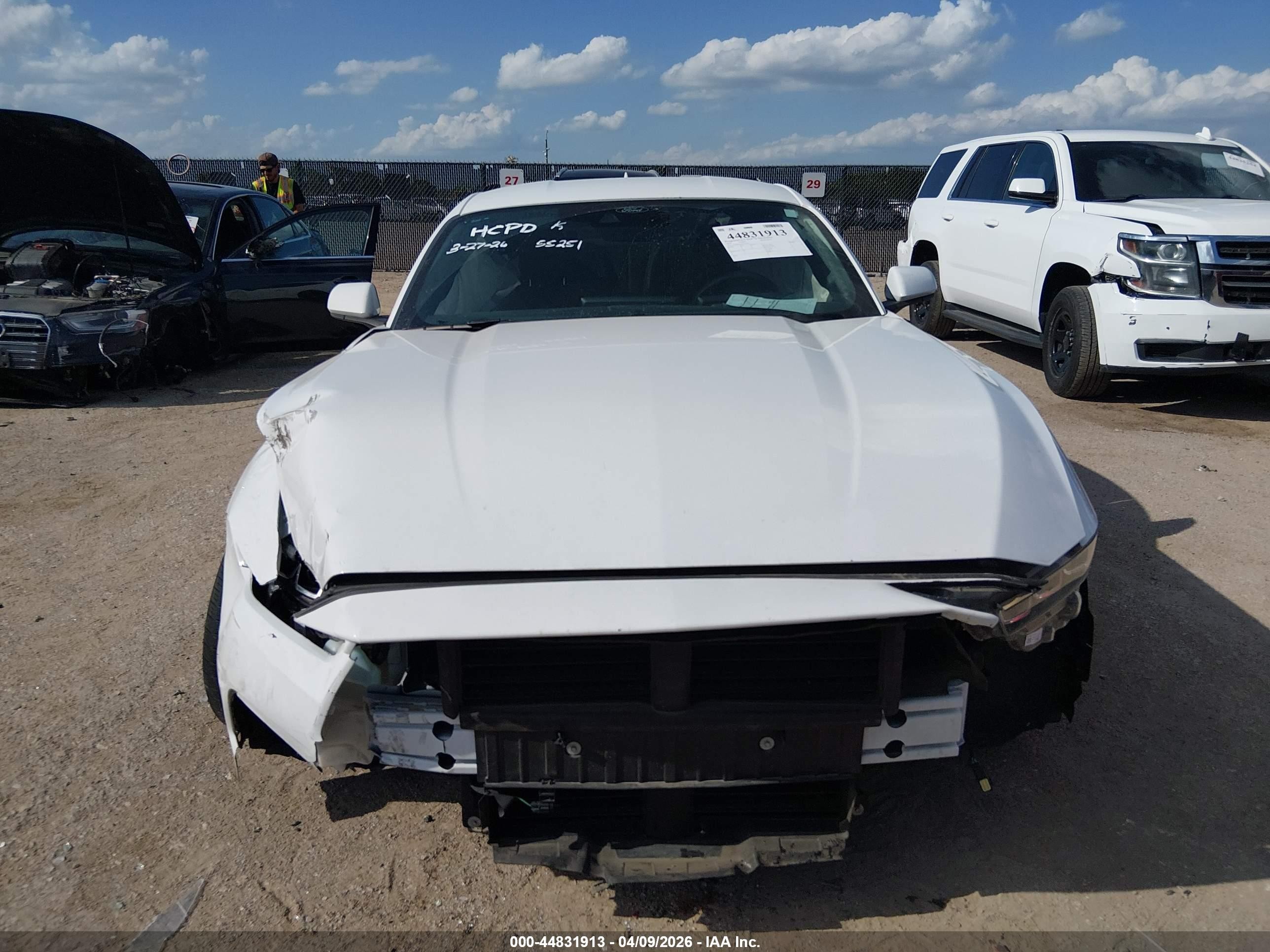 2024 Ford Mustang Ecoboost Fastback White vin: 1FA6P8THXR5127432