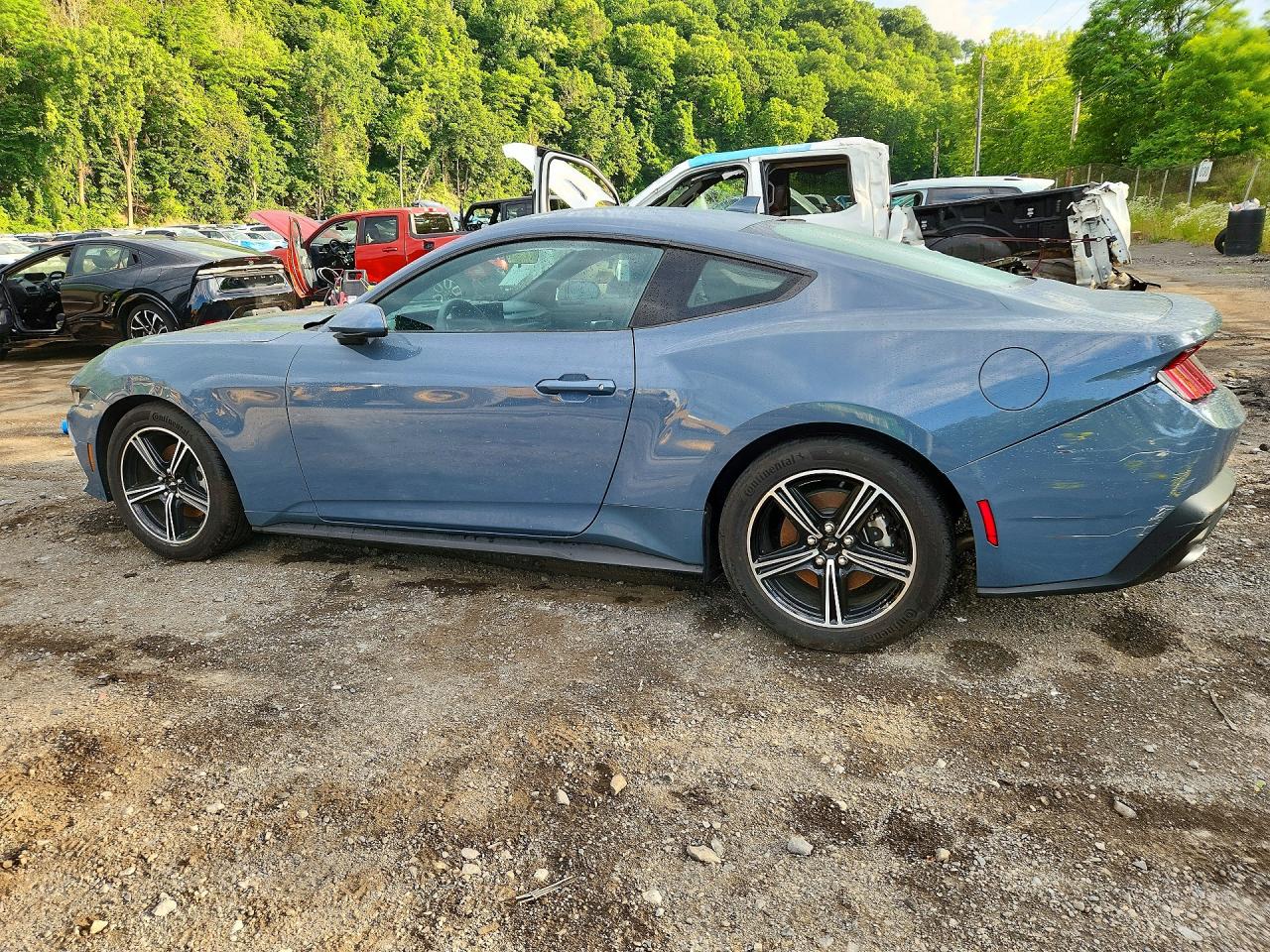 2025 Ford Mustang Blue vin: 1FA6P8THXS5103671