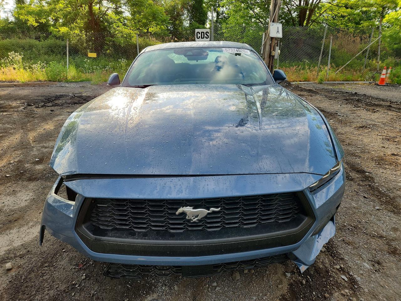 2025 Ford Mustang Blue vin: 1FA6P8THXS5103671