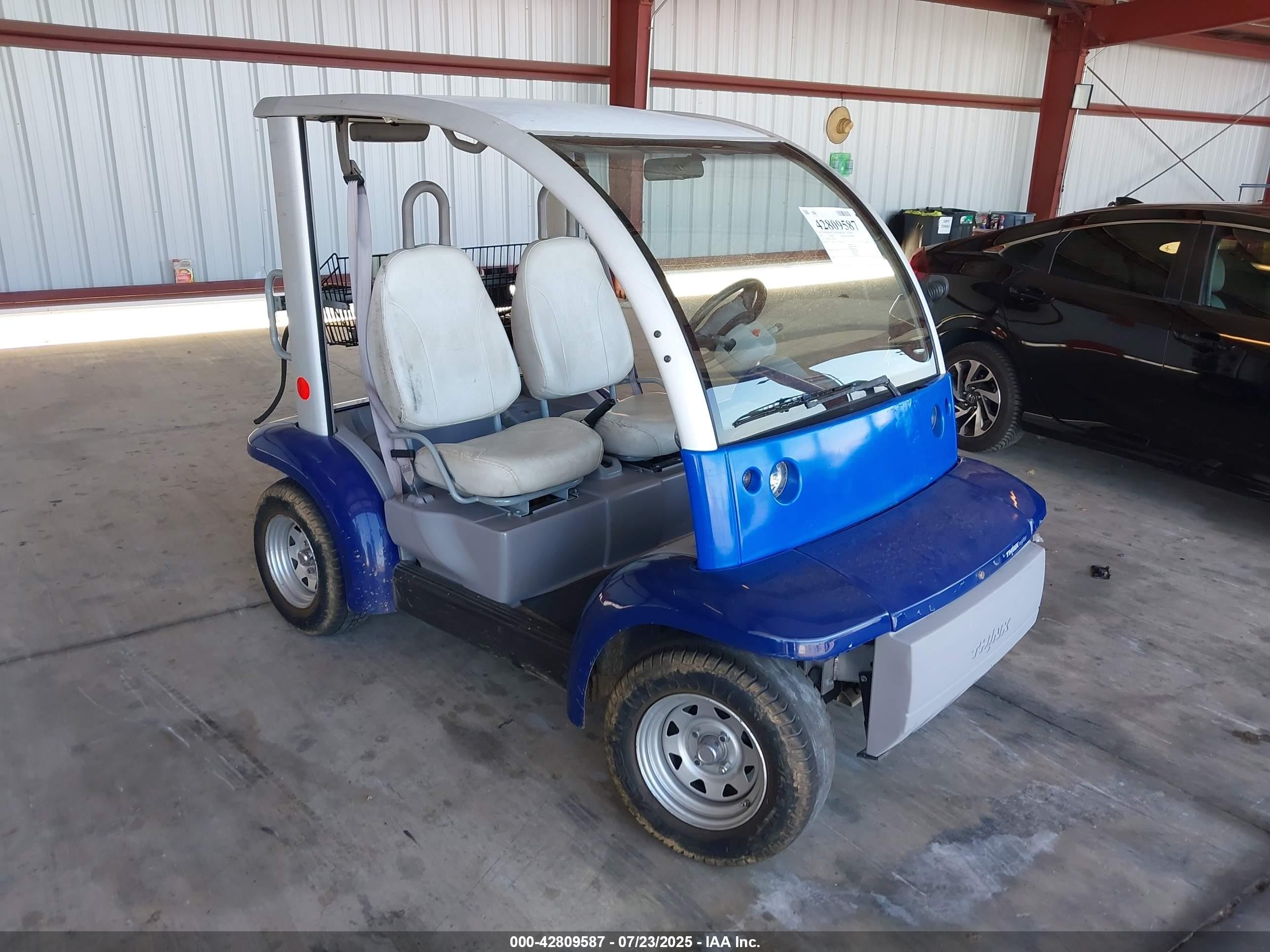 2002 Ford Think Neighbor   Blue vin: 1FABP205320100789