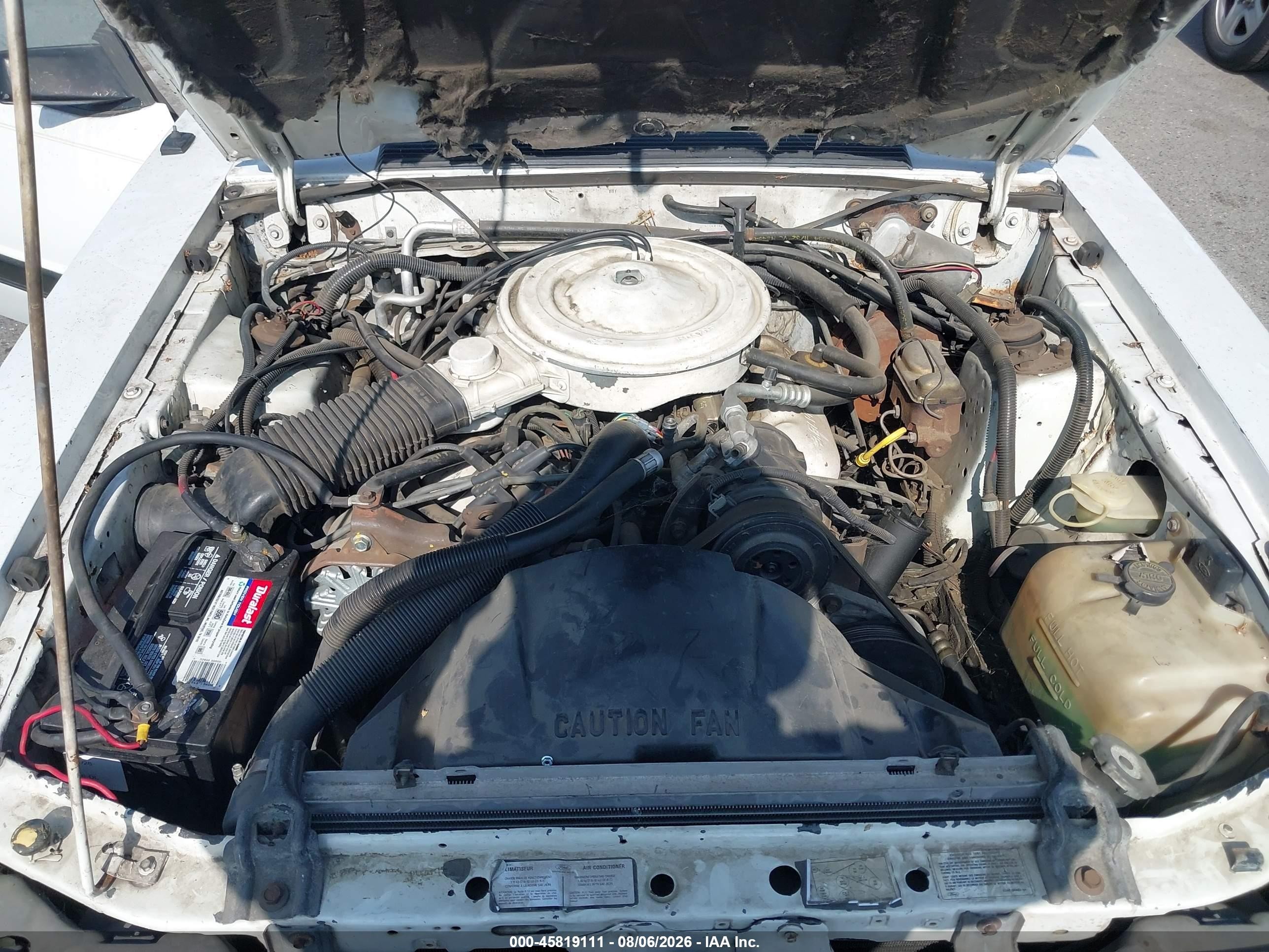 1985 Ford Mustang Lx/gt White vin: 1FABP2732FF128381