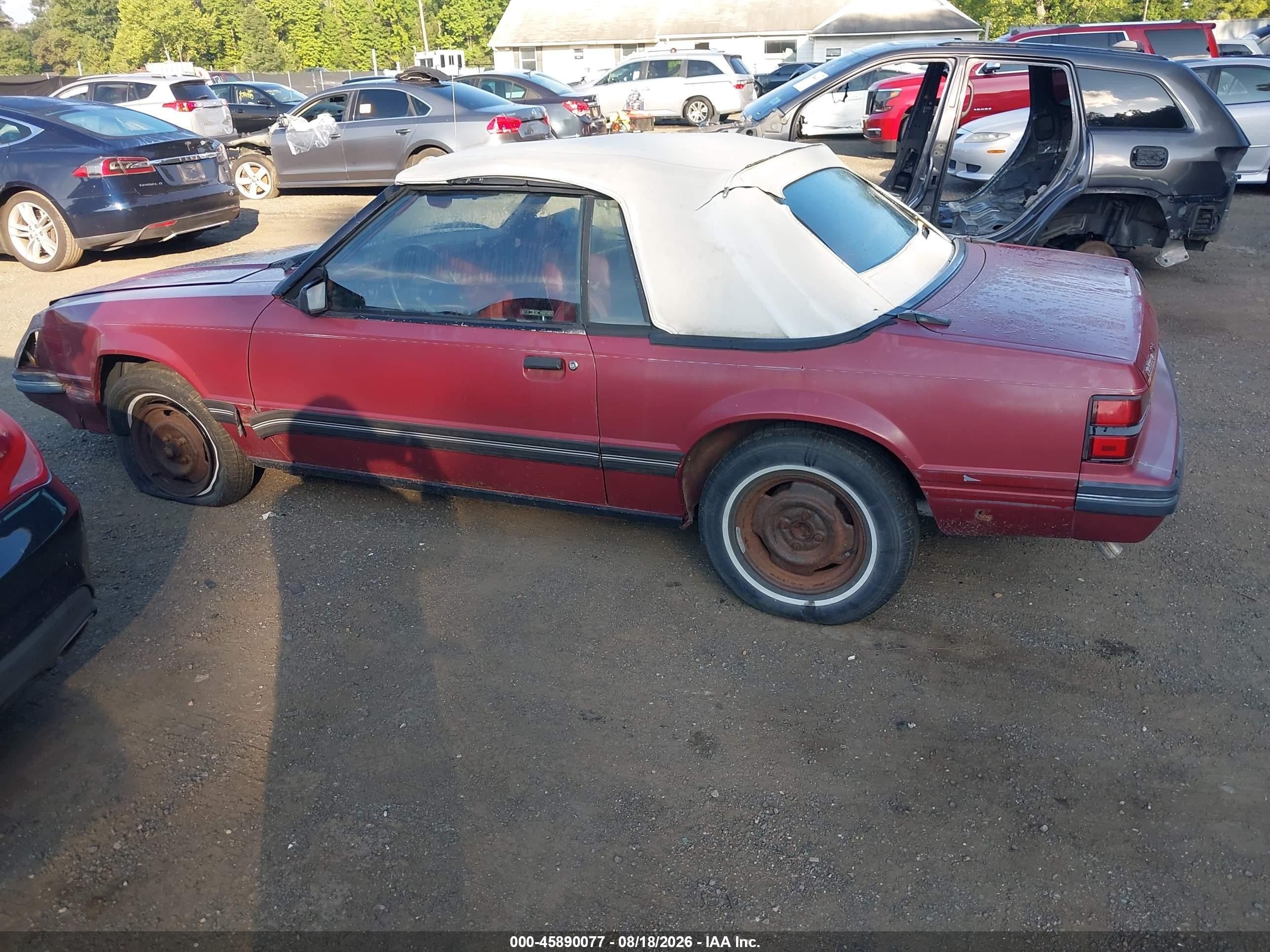 1984 Ford Mustang Glx Красный vin: 1FABP2736EF216610