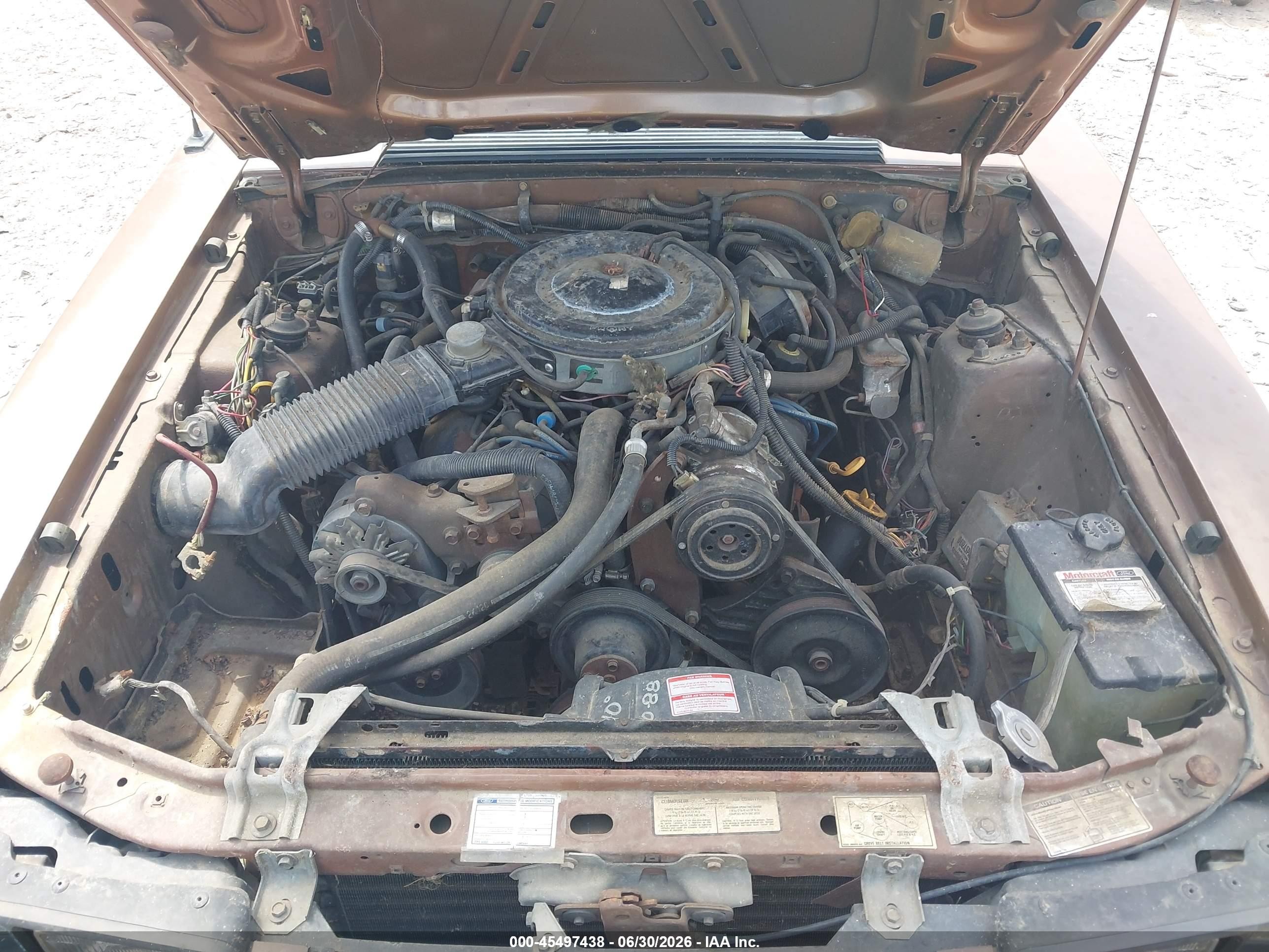 1983 Ford Mustang   Brown vin: 1FABP2737DF129958