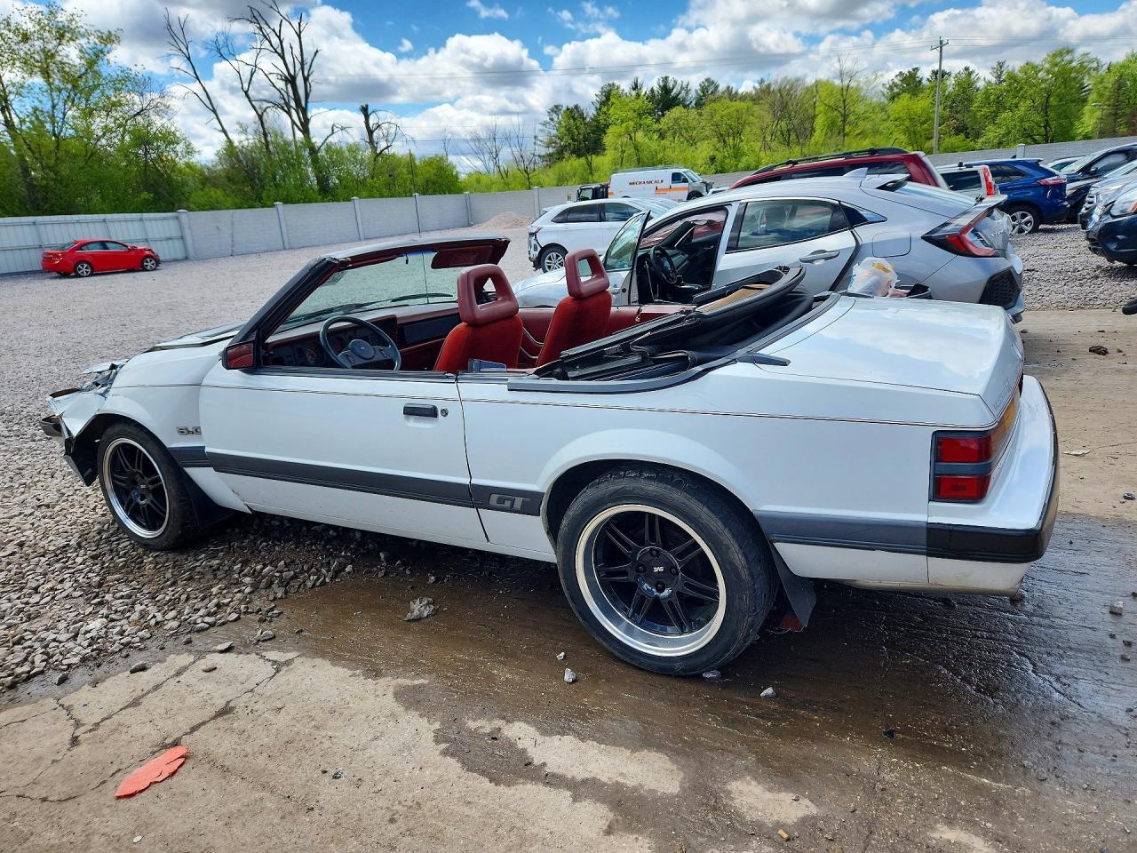 1985 Ford Mustang Lx White vin: 1FABP27M0FF248320