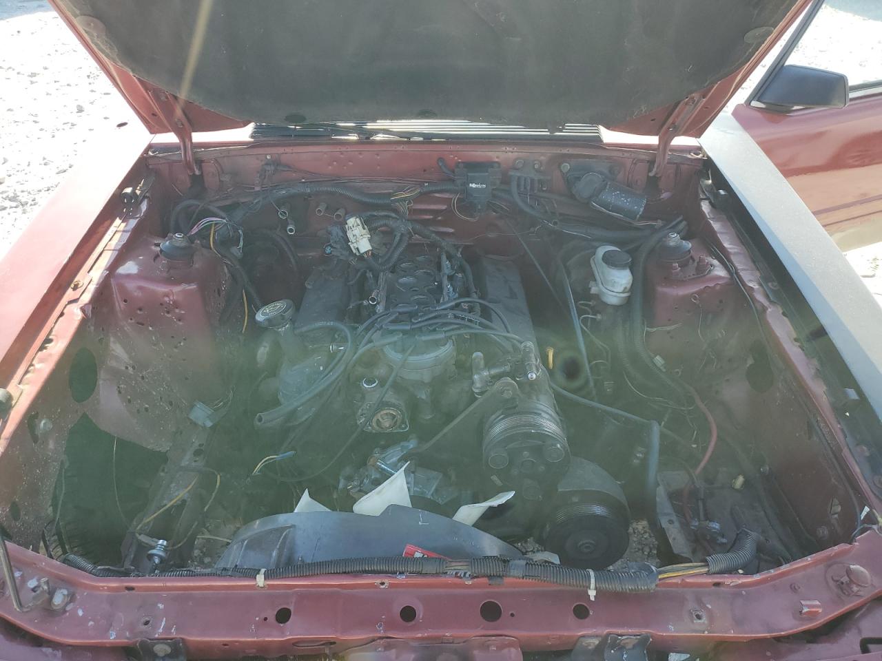 1985 Ford Mustang Lx Red vin: 1FABP28M8FF242361